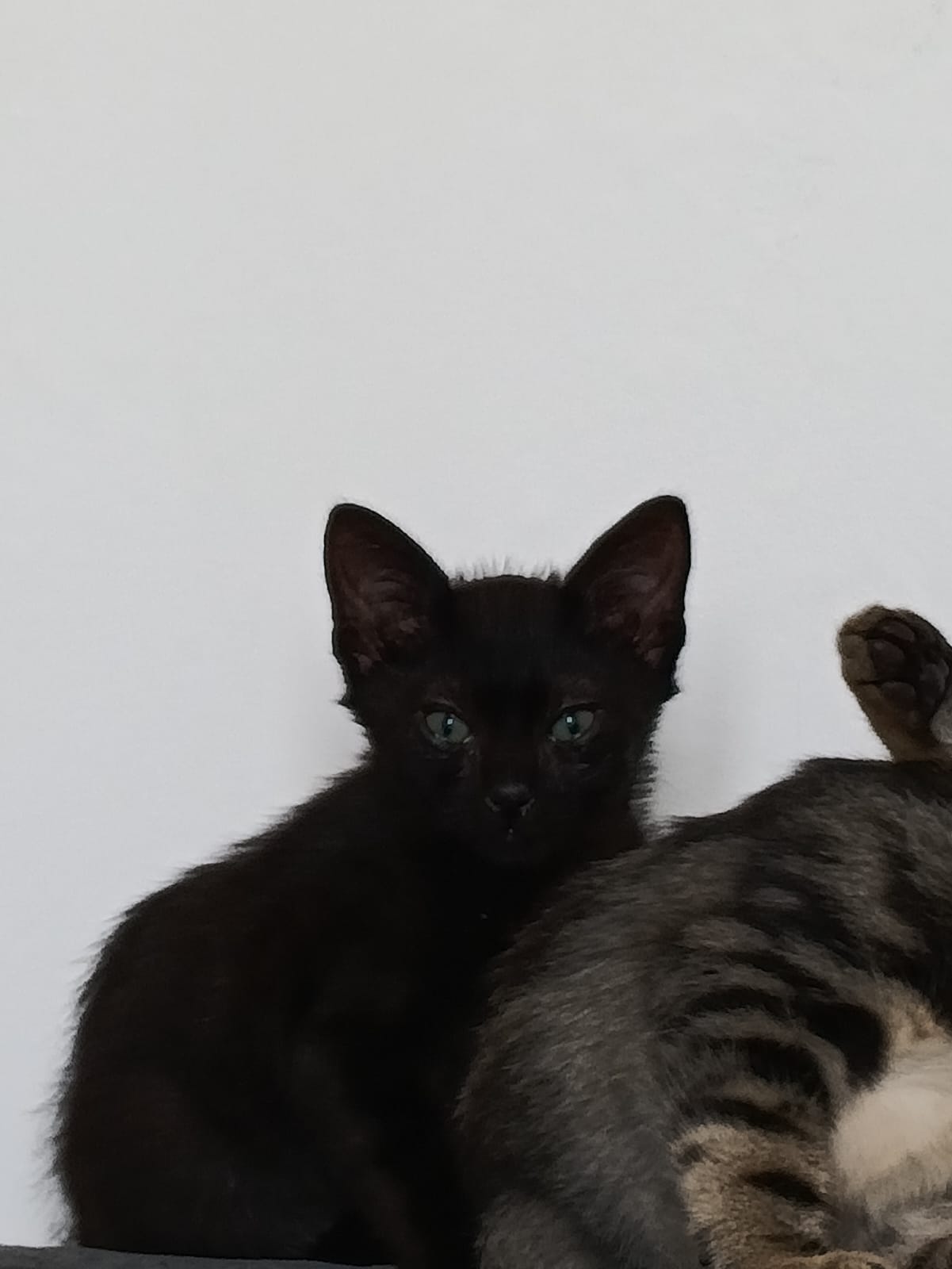 WhatsApp Image 2025-10-26 at 11.32.16 (3)