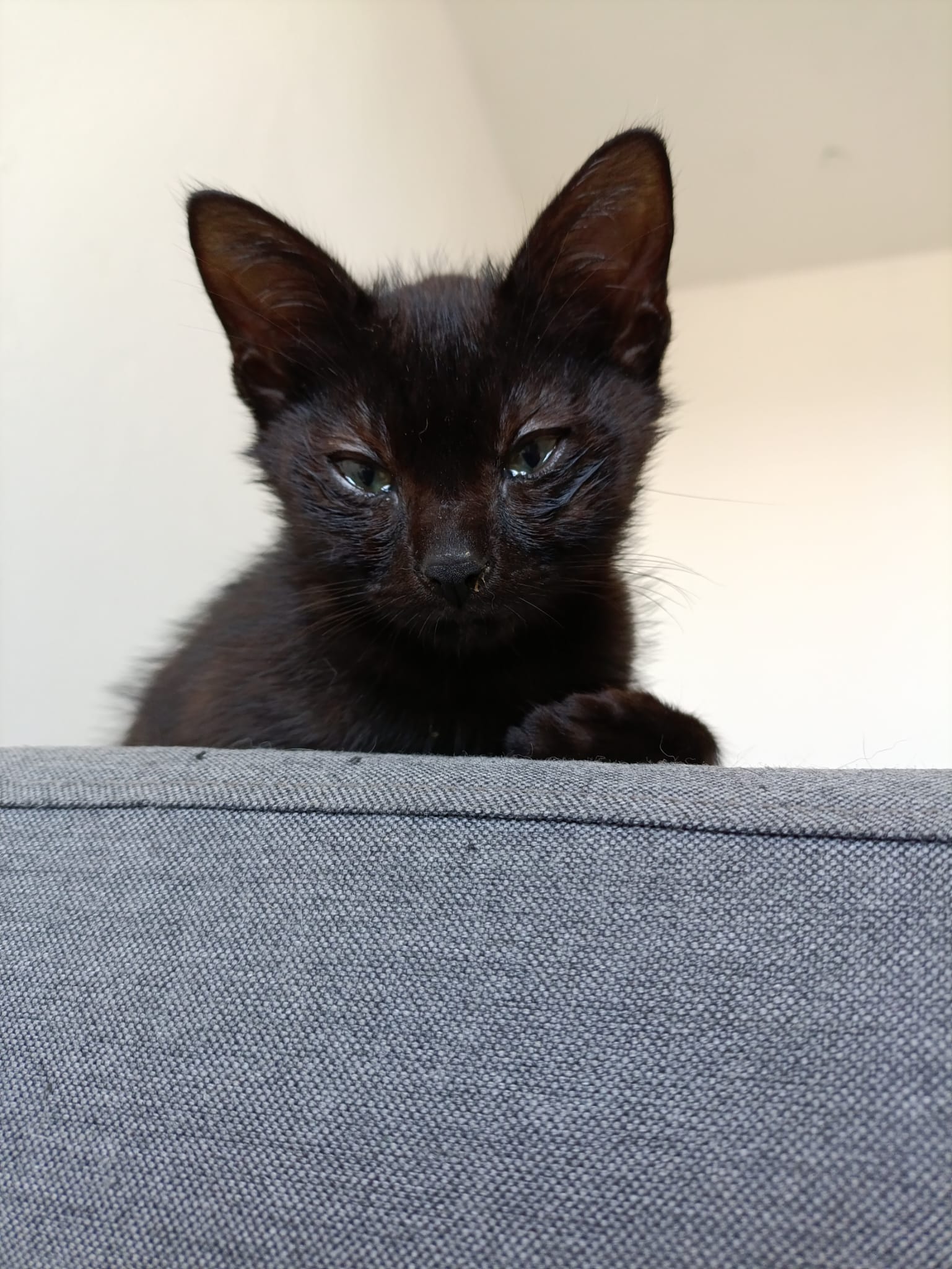 WhatsApp Image 2025-10-26 at 11.32.31