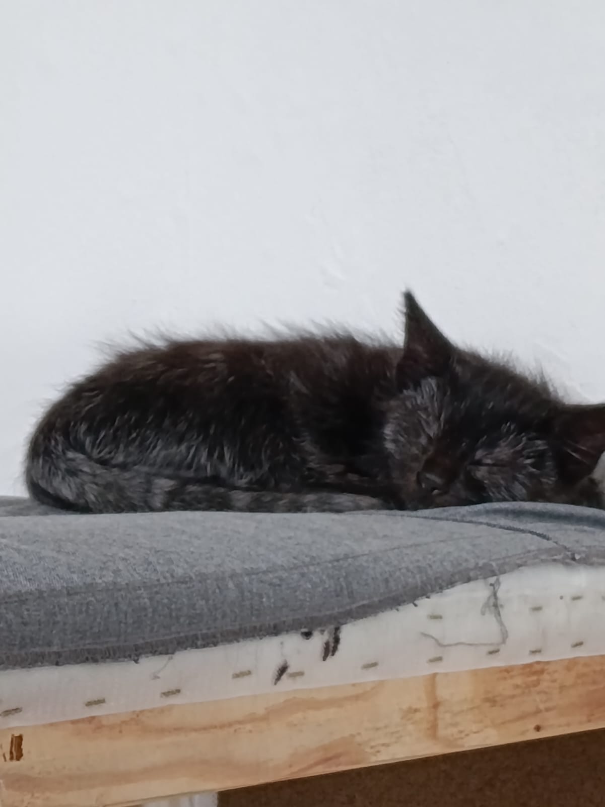 WhatsApp Image 2025-10-26 at 11.32.44 (1)