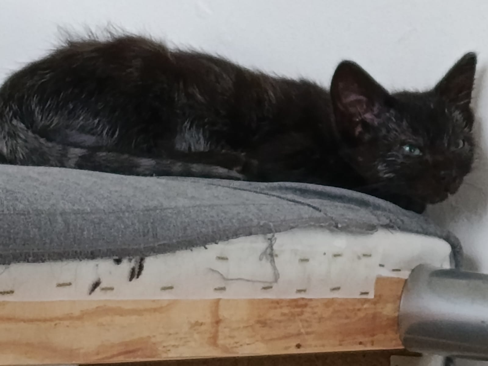 WhatsApp Image 2025-10-26 at 11.32.44 (2)