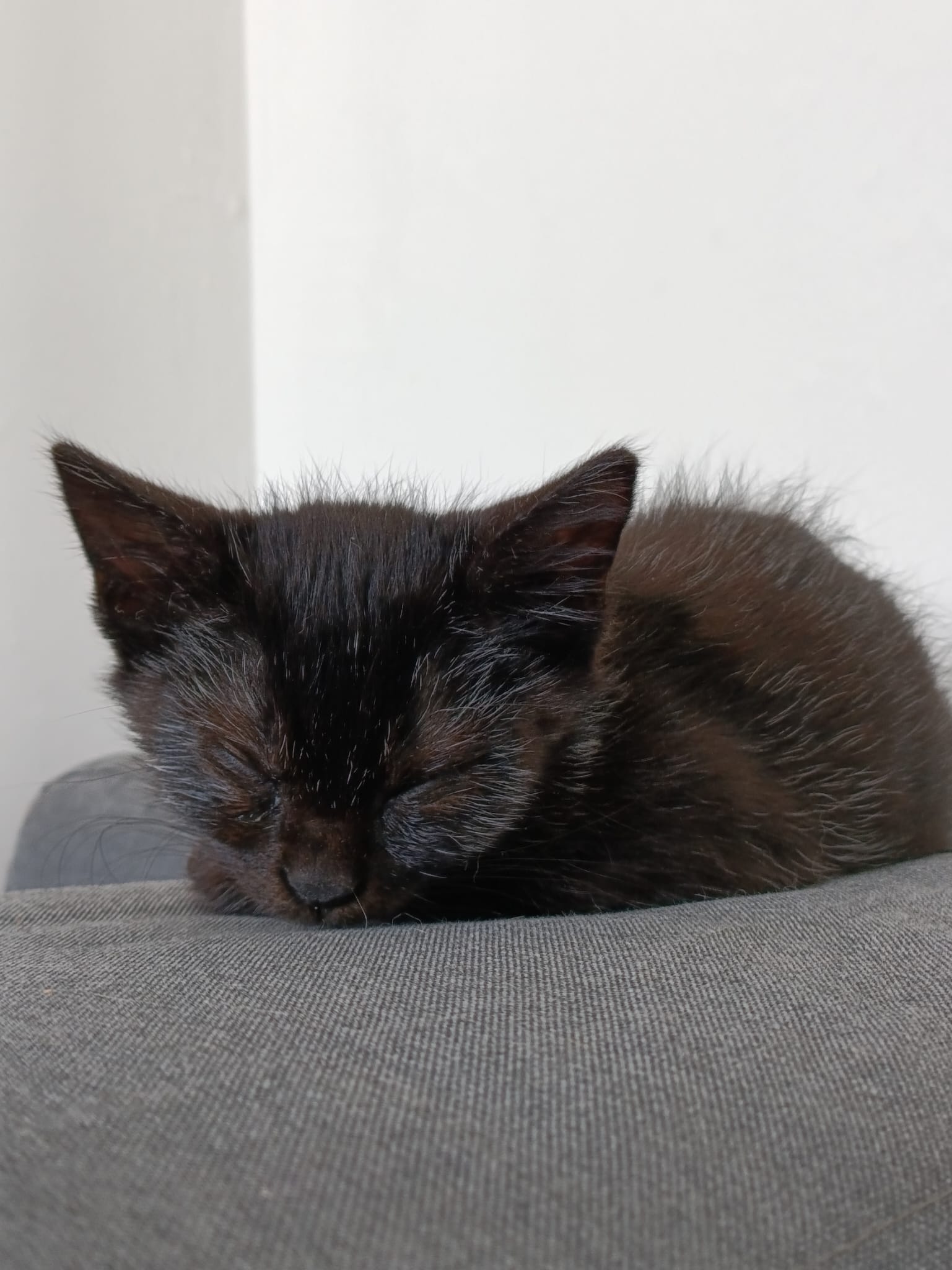 WhatsApp Image 2025-10-26 at 11.32.44