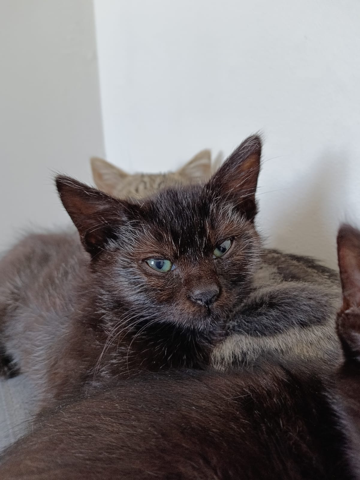 WhatsApp Image 2025-10-26 at 11.32.57 (1)