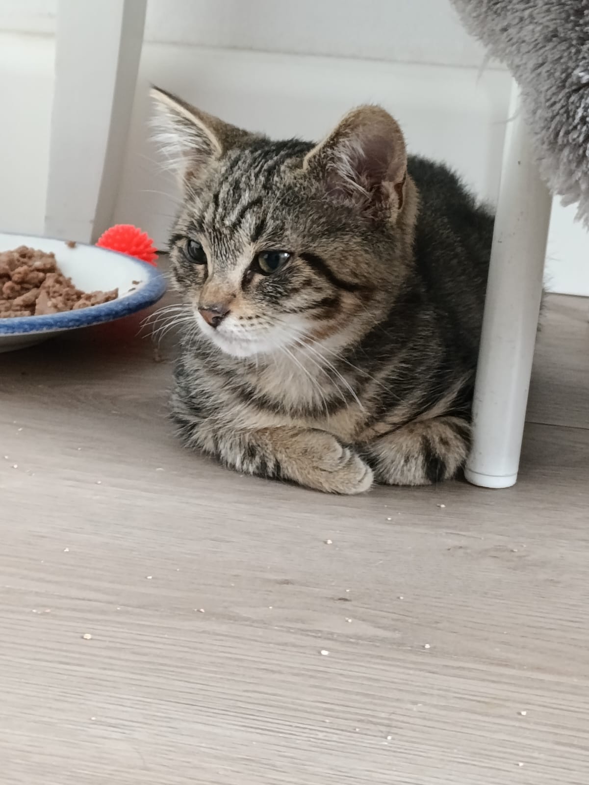 WhatsApp Image 2025-10-26 at 11.33.13 (1)