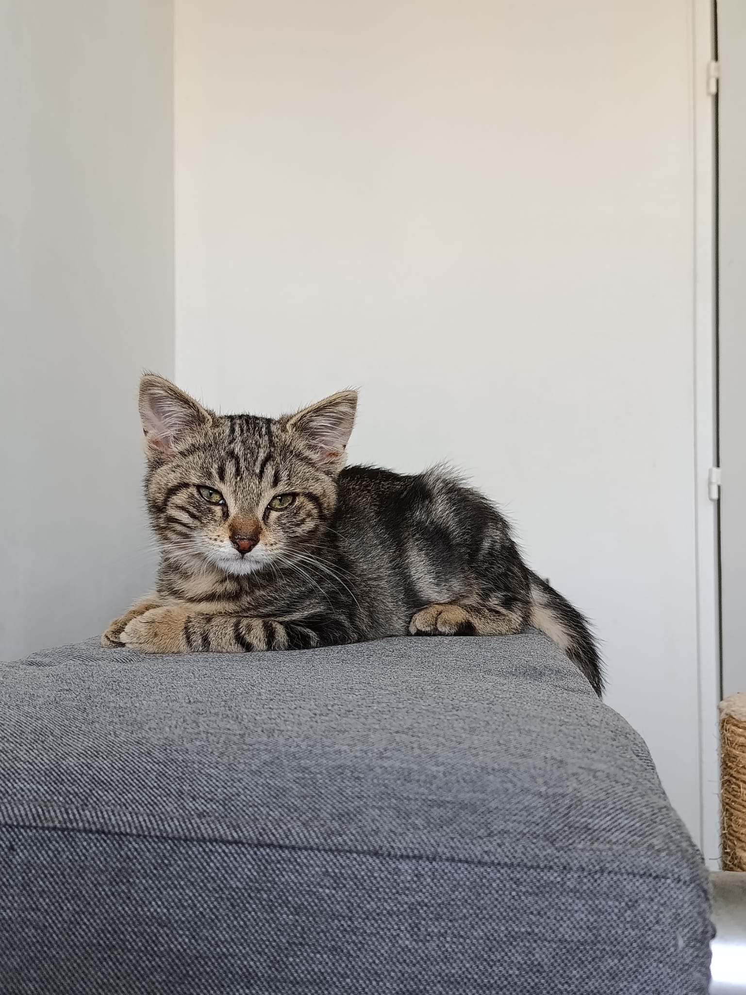 WhatsApp Image 2025-10-26 at 11.33.13