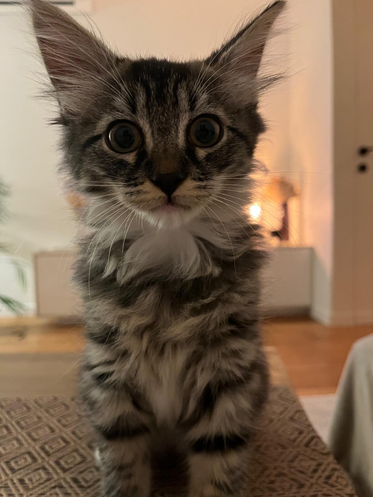 WhatsApp Image 2025-10-30 at 10.54.43 (11)