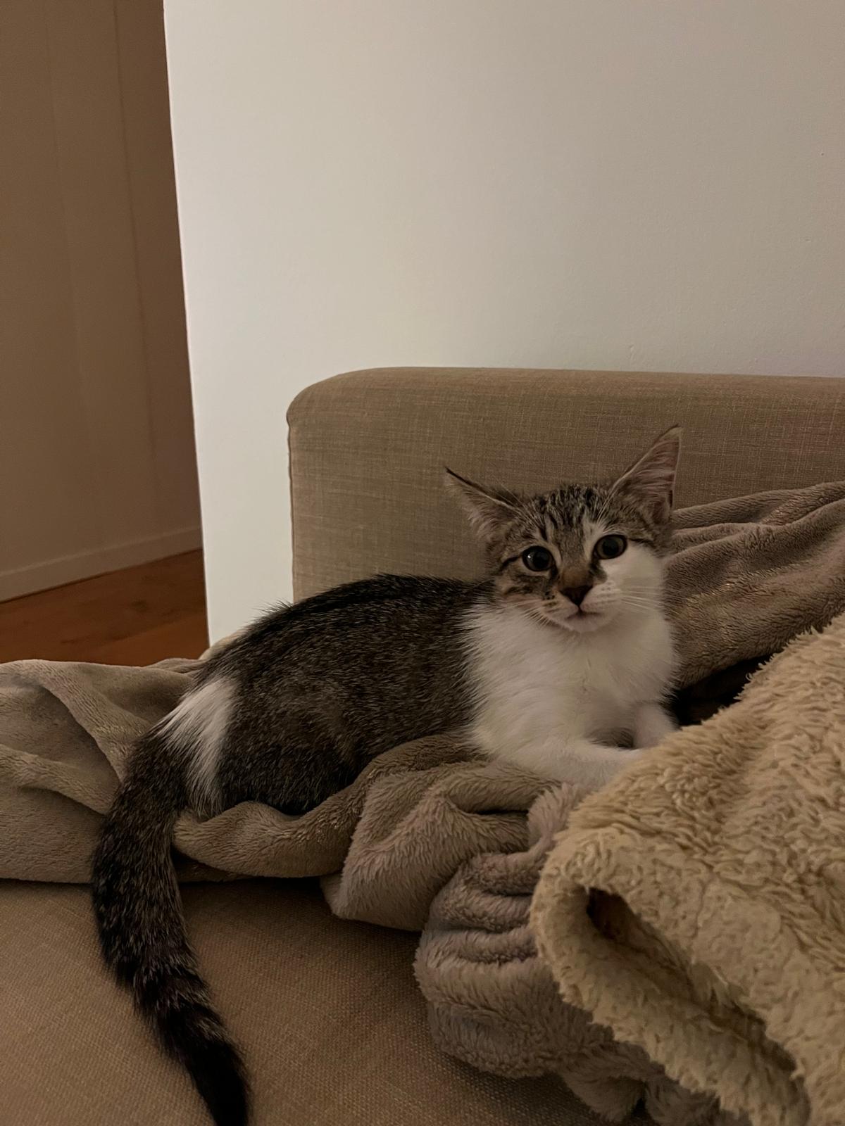 WhatsApp Image 2025-10-30 at 10.54.43 (3)