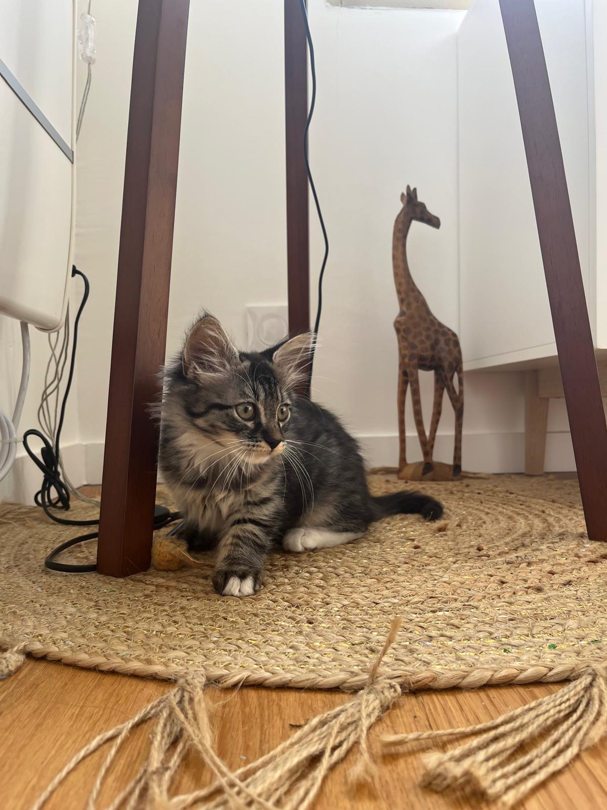 WhatsApp Image 2025-10-30 at 10.54.43 (4)