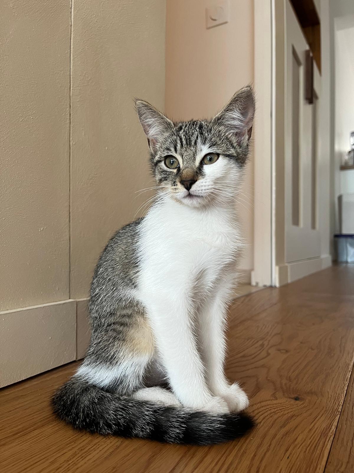 WhatsApp Image 2025-10-30 at 10.54.43 (5)