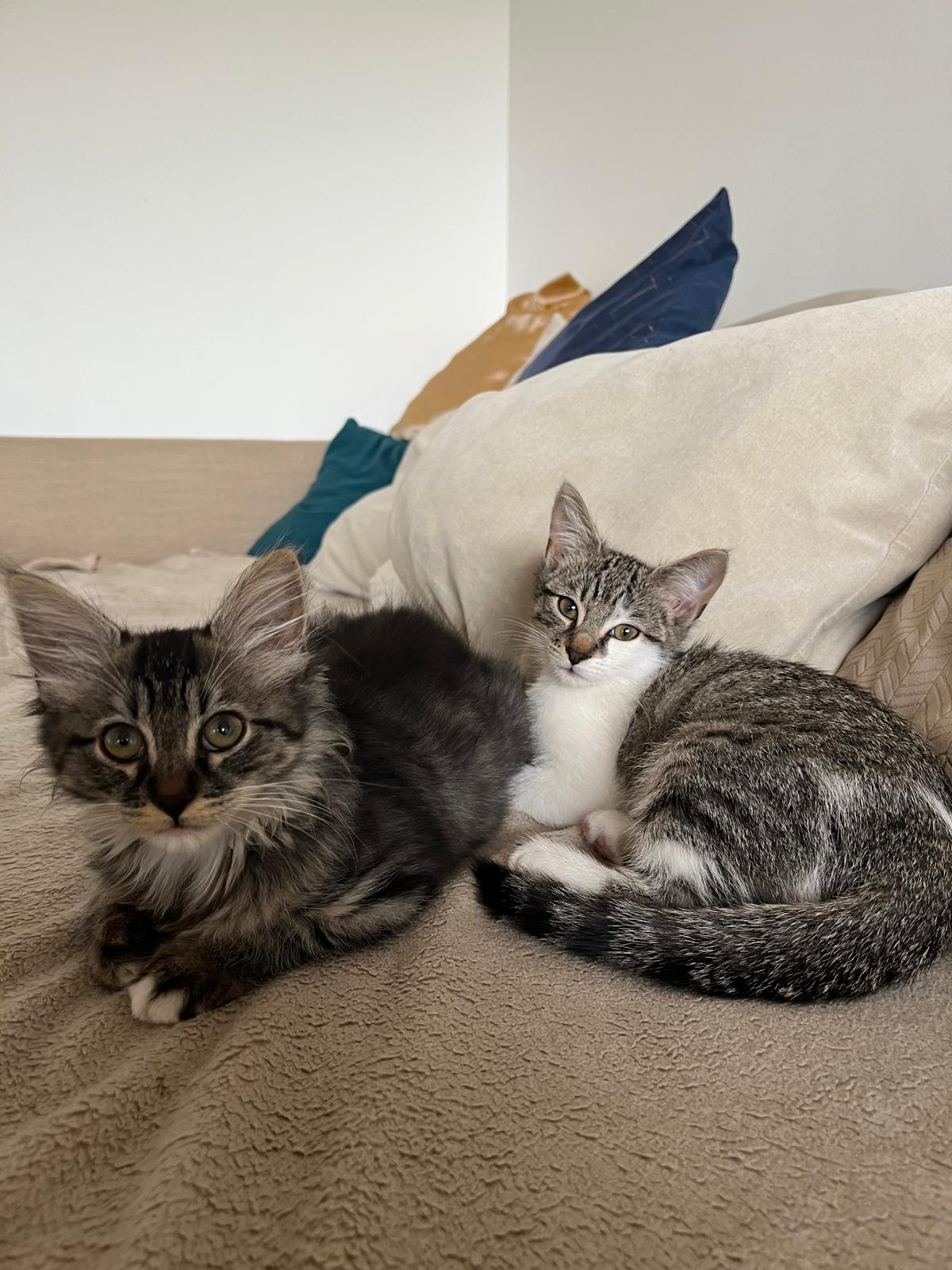 WhatsApp Image 2025-10-30 at 10.54.43 (6)