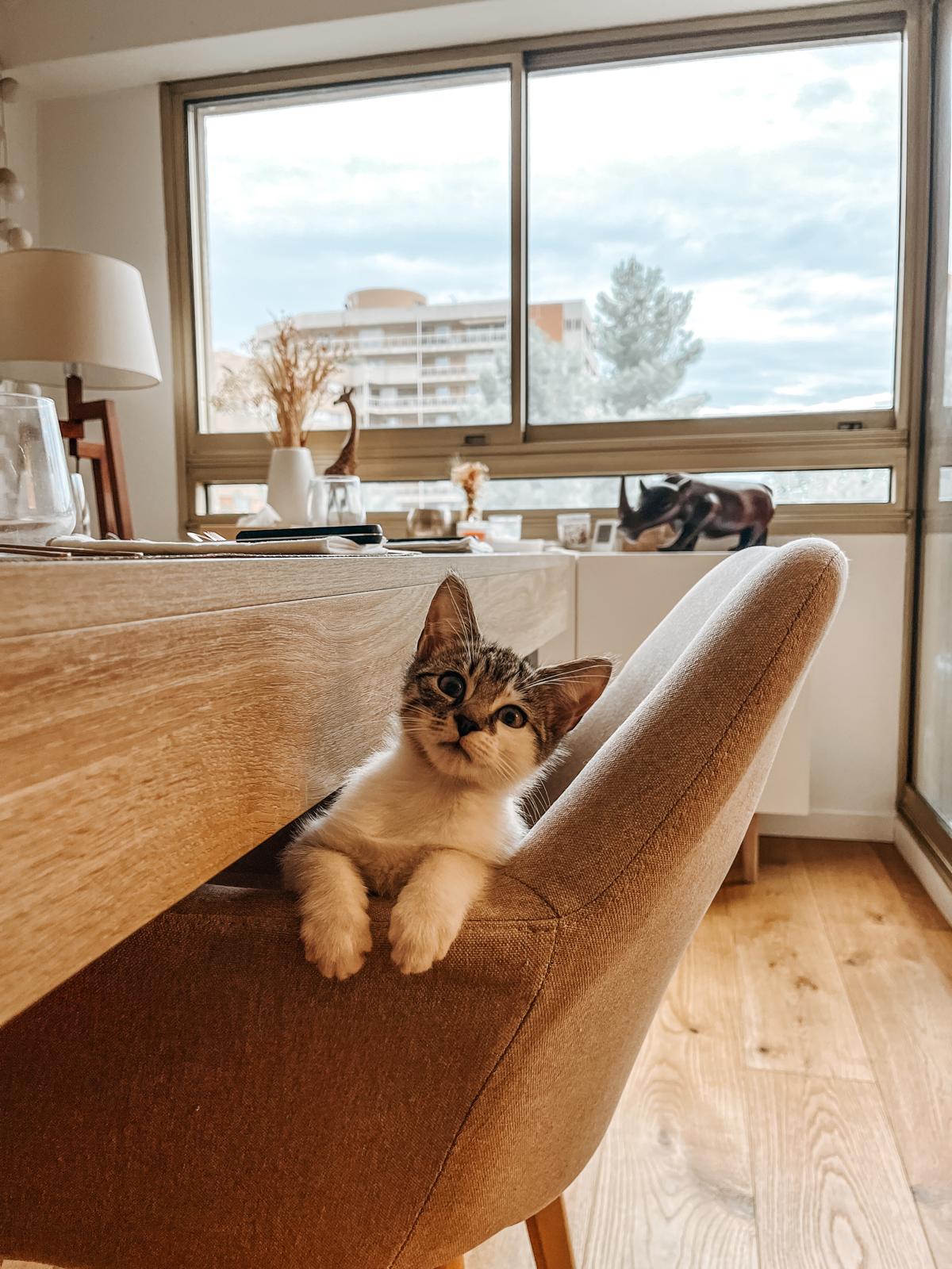 WhatsApp Image 2025-10-30 at 10.54.43 (7)