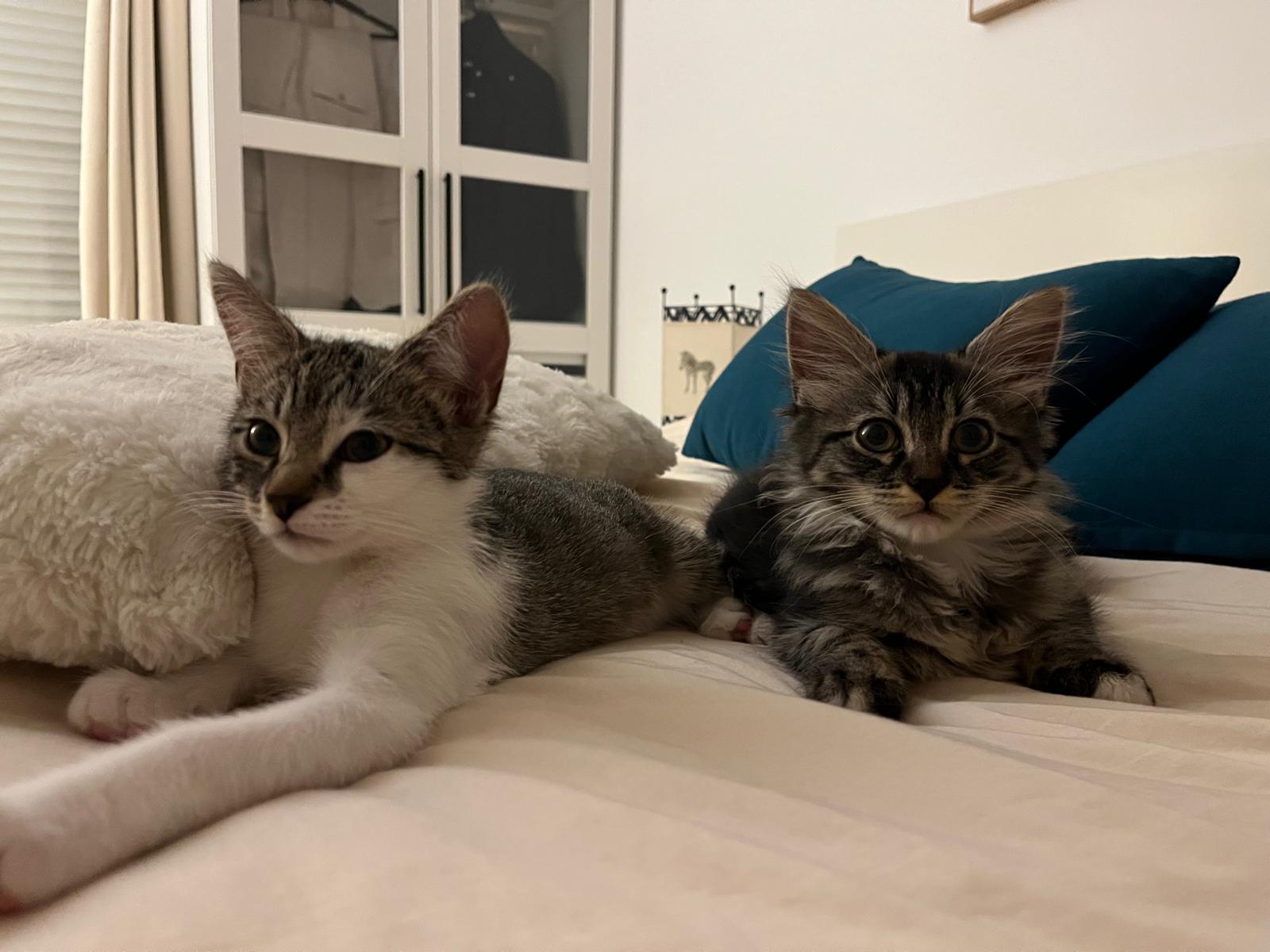 WhatsApp Image 2025-10-30 at 10.54.43 (8)