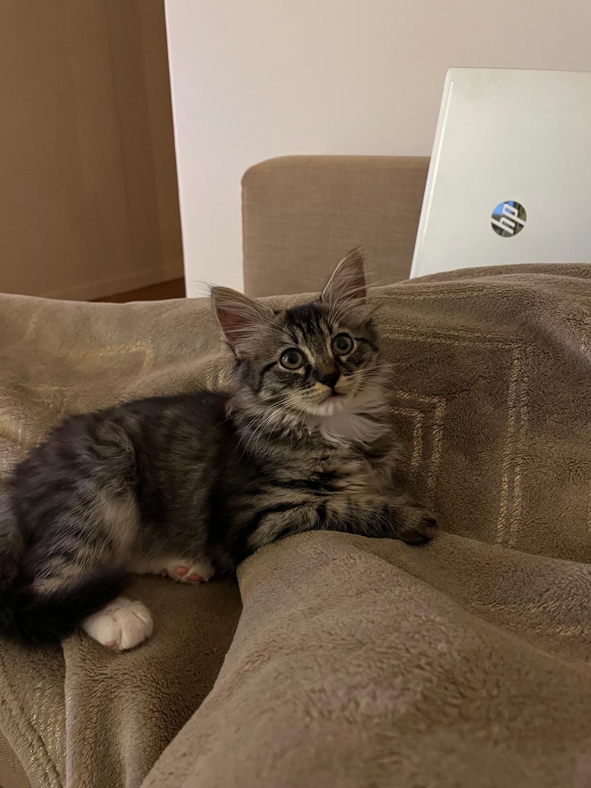 WhatsApp Image 2025-10-30 at 10.54.43 (9)