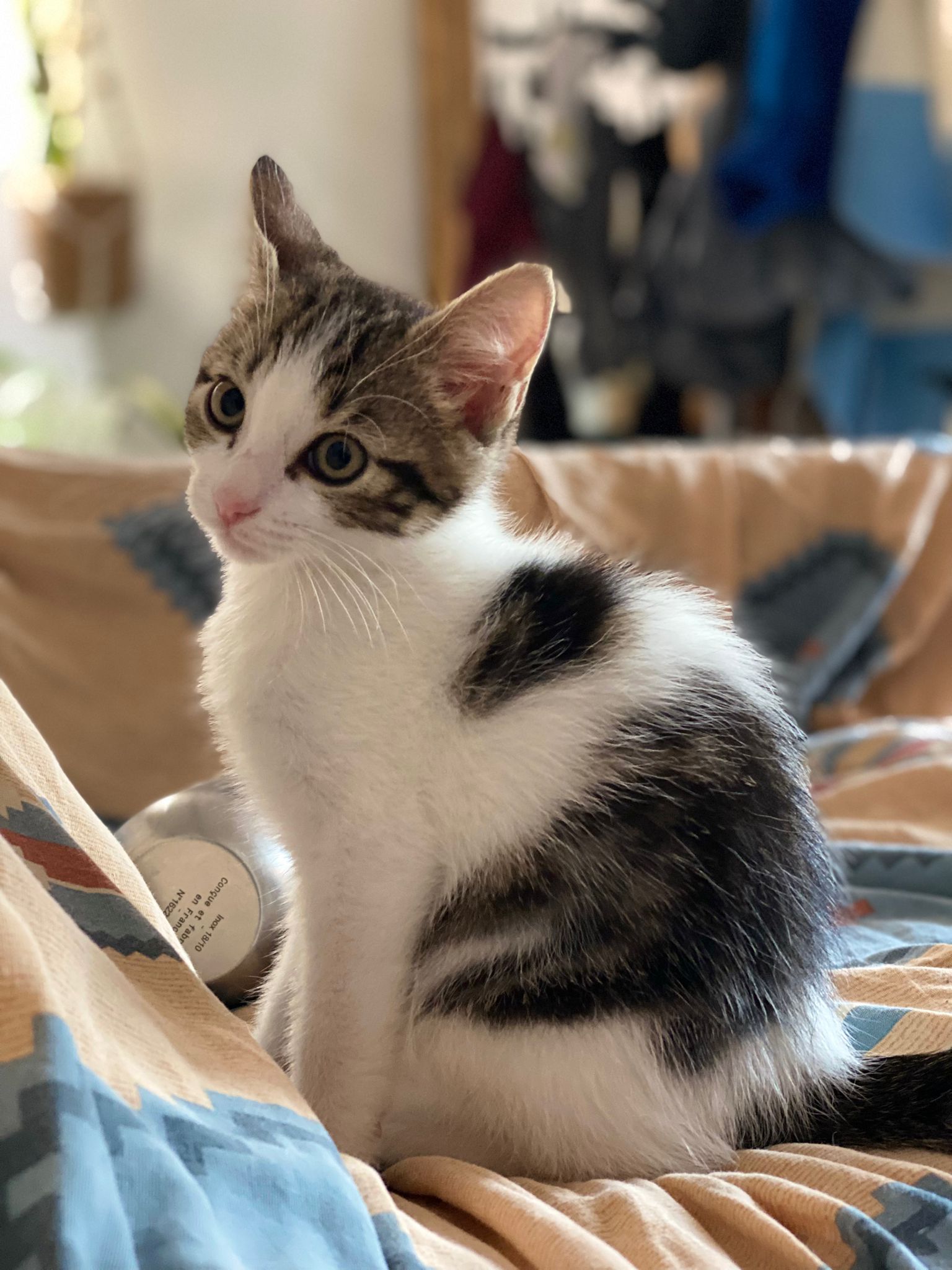 WhatsApp Image 2025-10-31 at 11.16.57 (1)