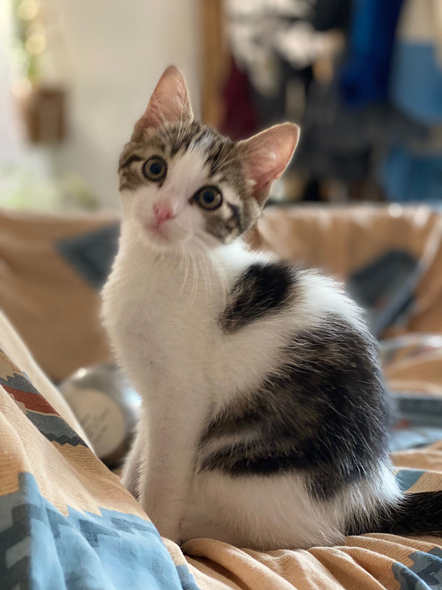 WhatsApp Image 2025-10-31 at 11.16.57 (2)