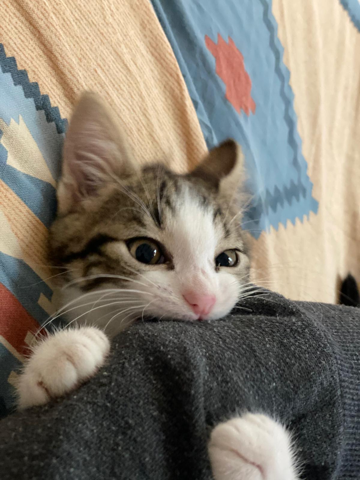 WhatsApp Image 2025-10-31 at 11.25.59