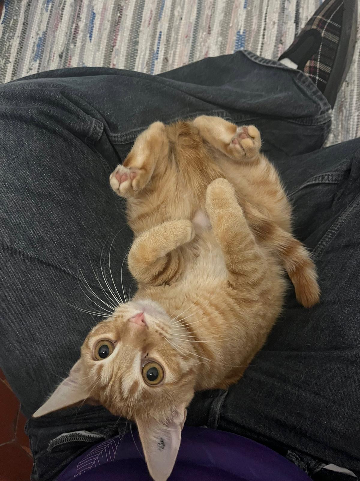 d70916af-8d22-4b8d-a22e-98e7526008bf