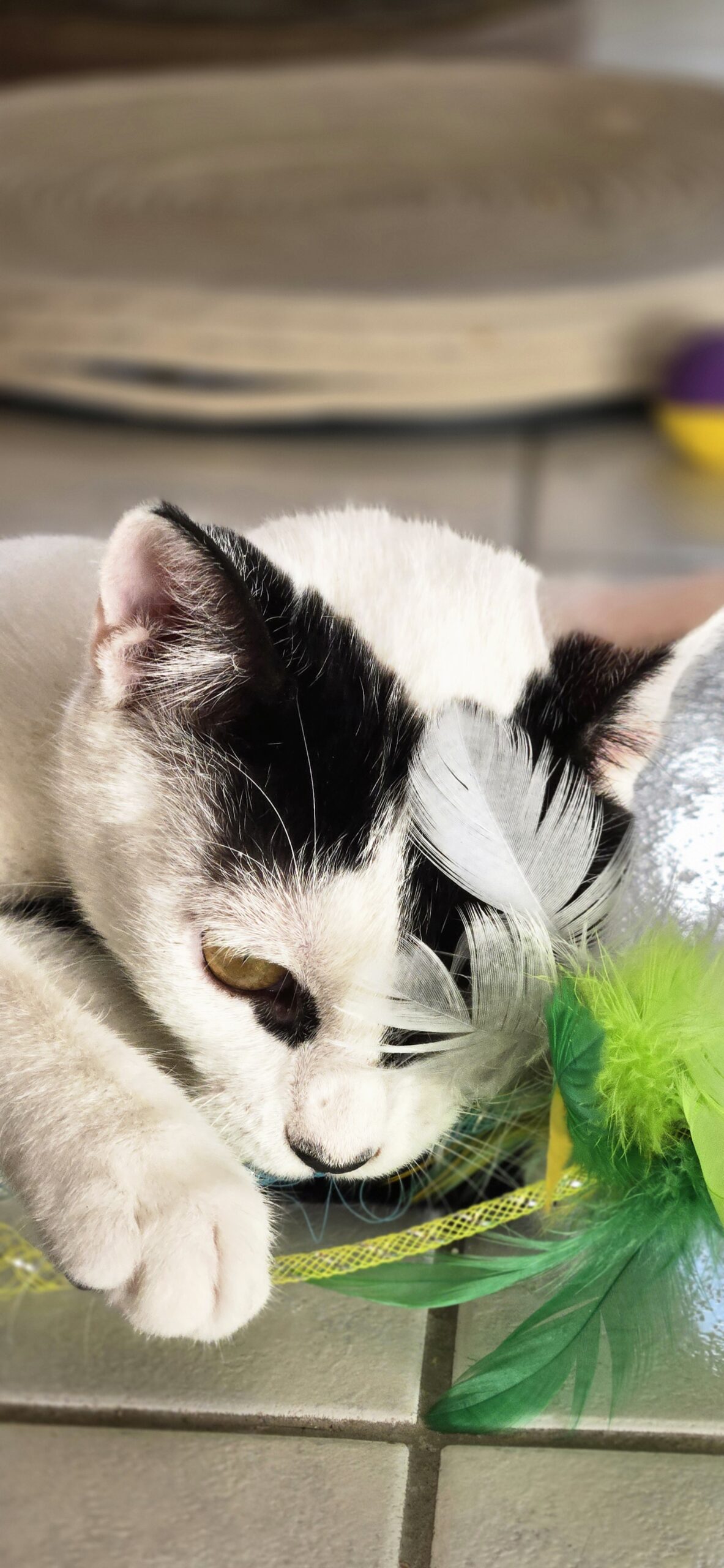 1c299428-fdad-4a2f-a101-ade5bb22016c-copied-media~2