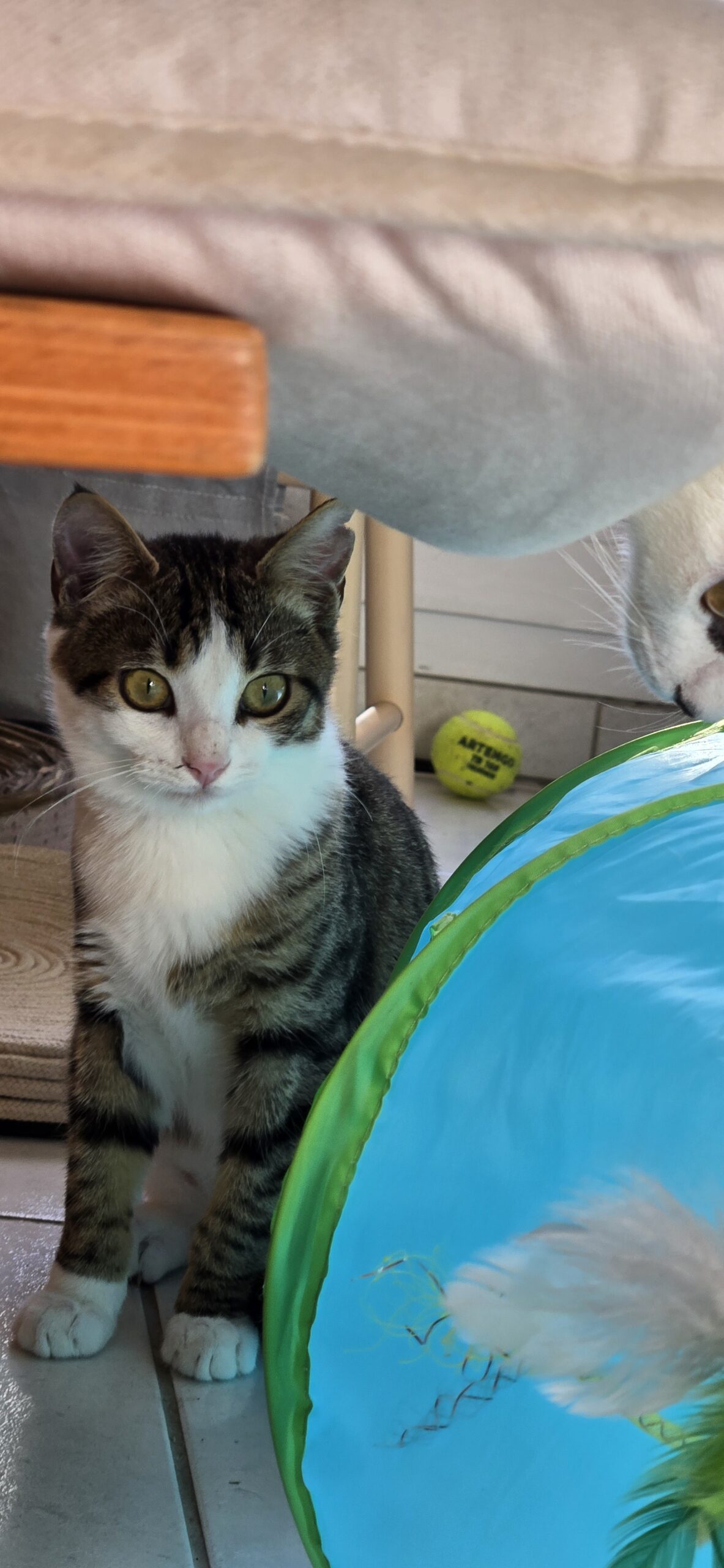 23d10fdc-8964-4e6f-880c-4d2fc2d97078-copied-media~2