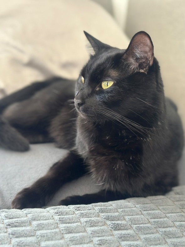 3C2F8B60-6BEB-4F43-9A04-DF8E4F269B6F