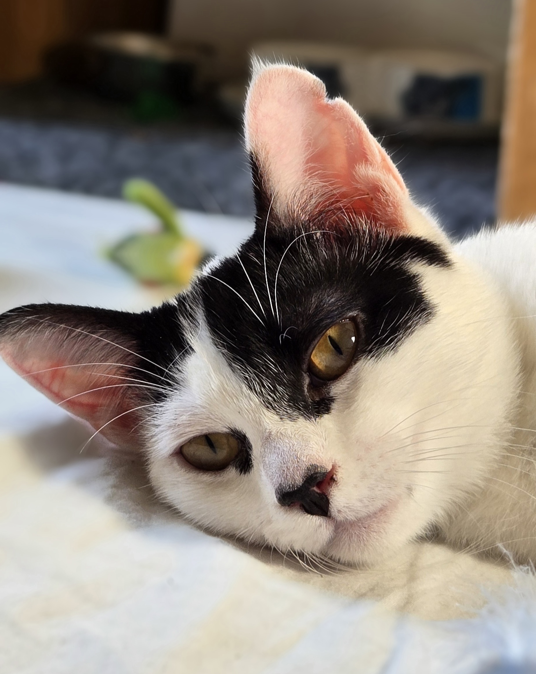 400704c5-4570-4ed3-8bbc-b06a1648f48d-copied-media~2