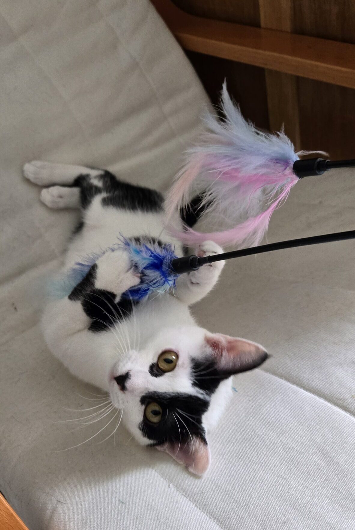 5ef1e71d-629f-46f1-a5c1-02109b7a4806-copied-media~2