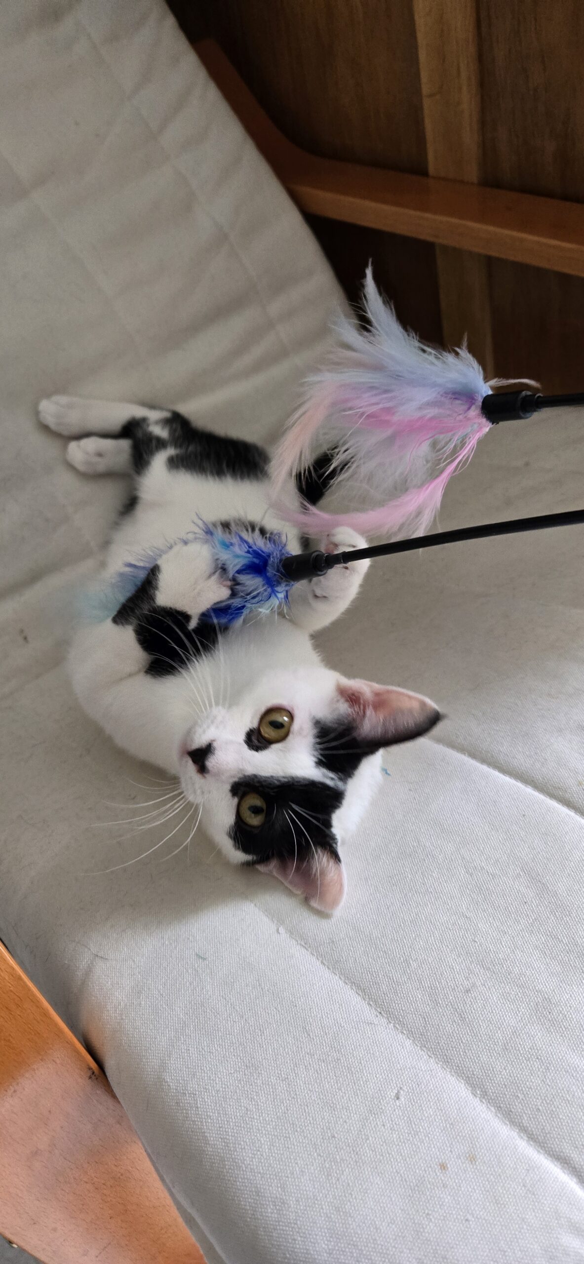 5ef1e71d-629f-46f1-a5c1-02109b7a4806-copied-media~2