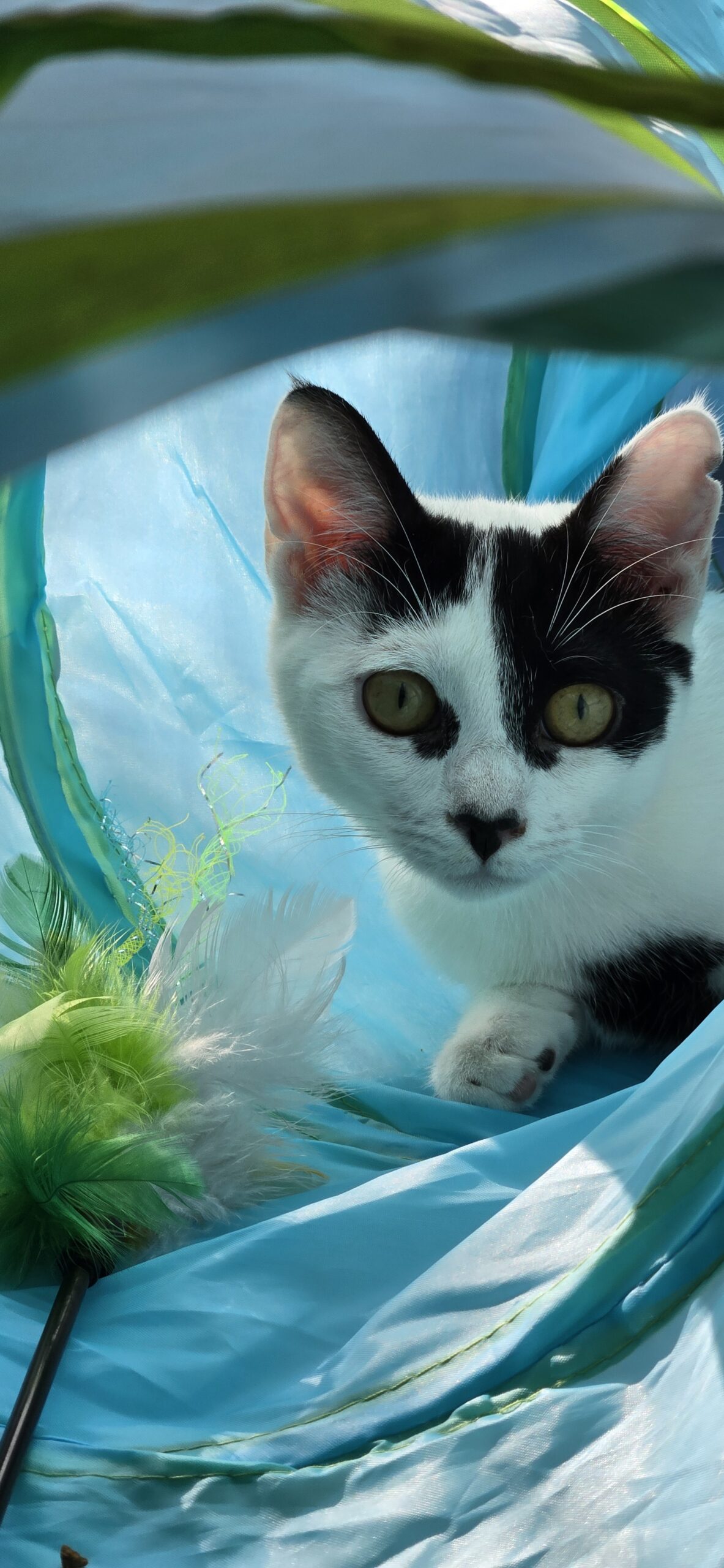 6efe0940-01de-48e1-86a7-4db76726451e-copied-media~2