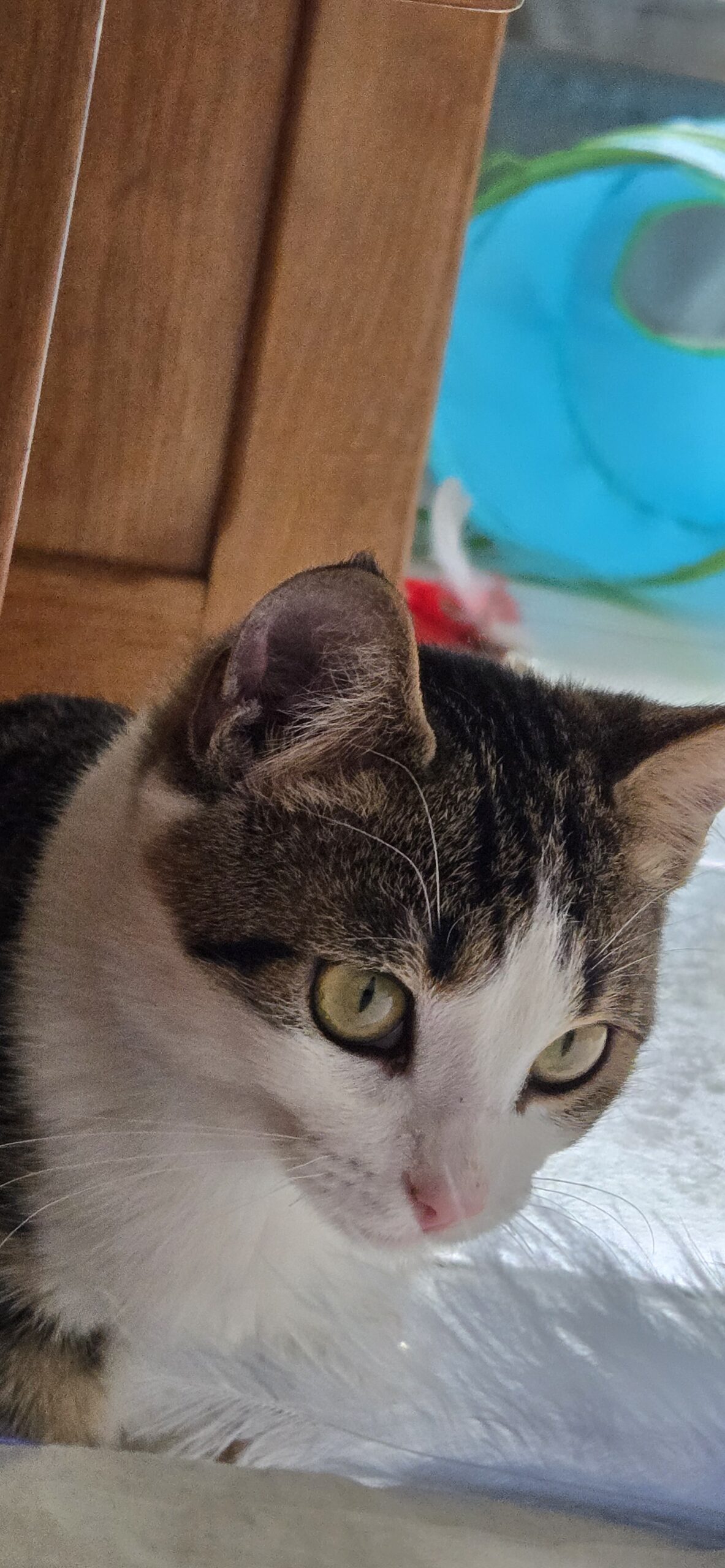 7b7dd1b1-429a-4074-acc4-fea3b0feb9d0-copied-media~2