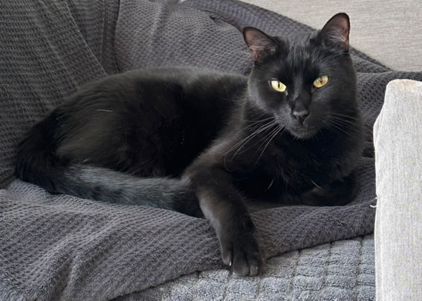 CE04716A-4DCC-4F63-BD2A-C2AD54C52822