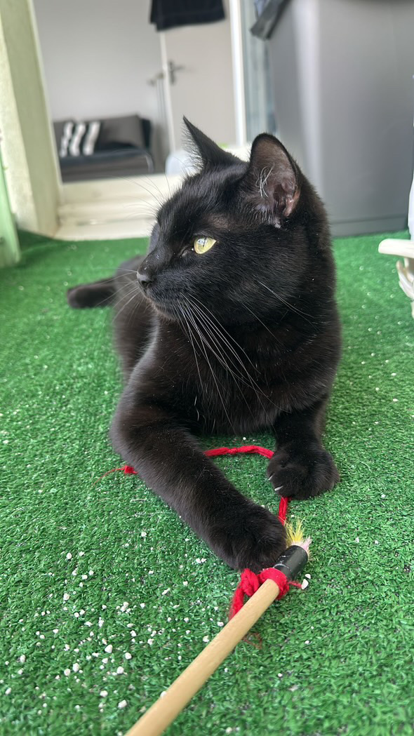 D033BE48-92D8-4CAE-8AAF-C3FF382158A2