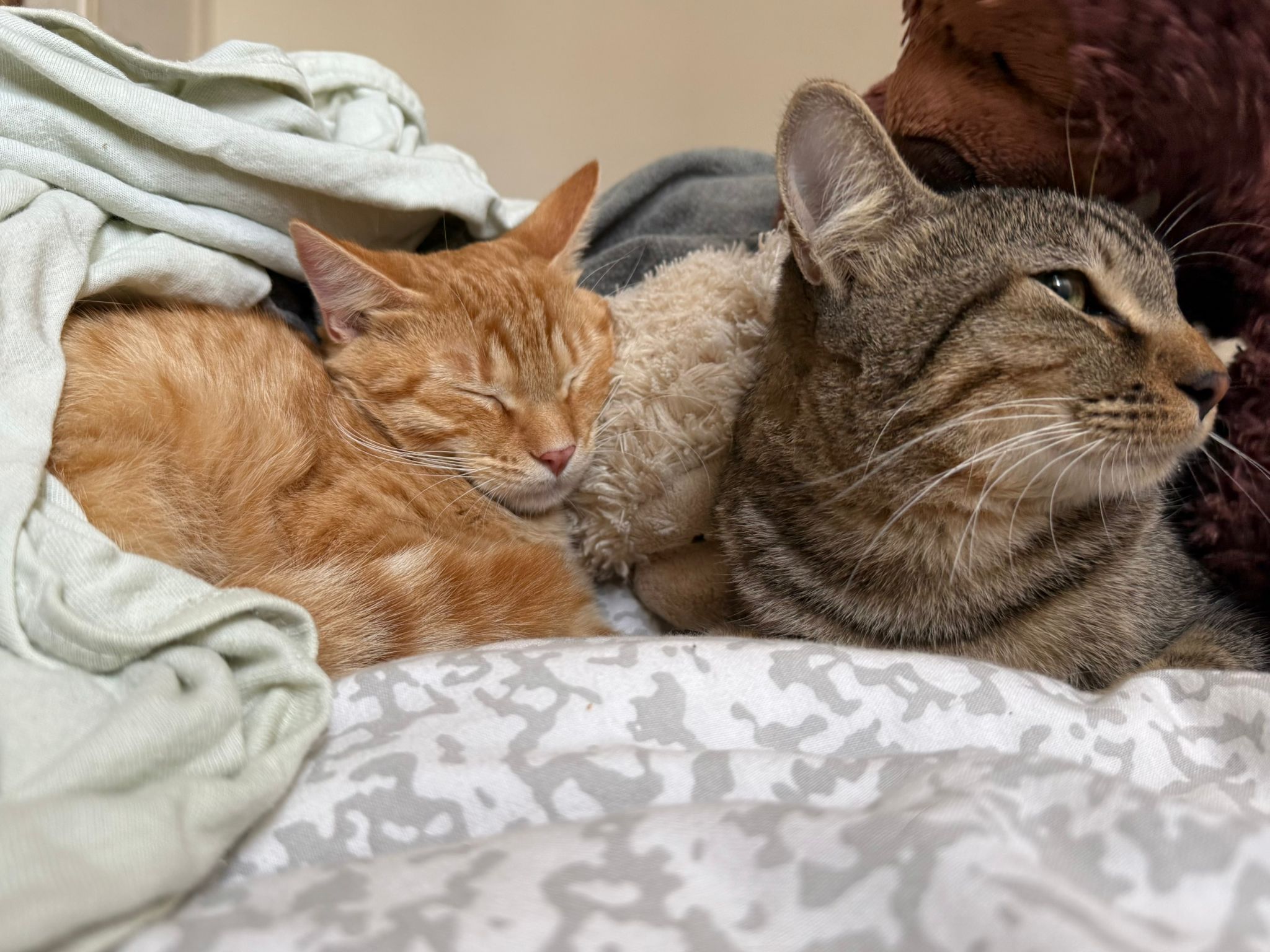 WhatsApp Image 2025-11-02 at 12.41.35