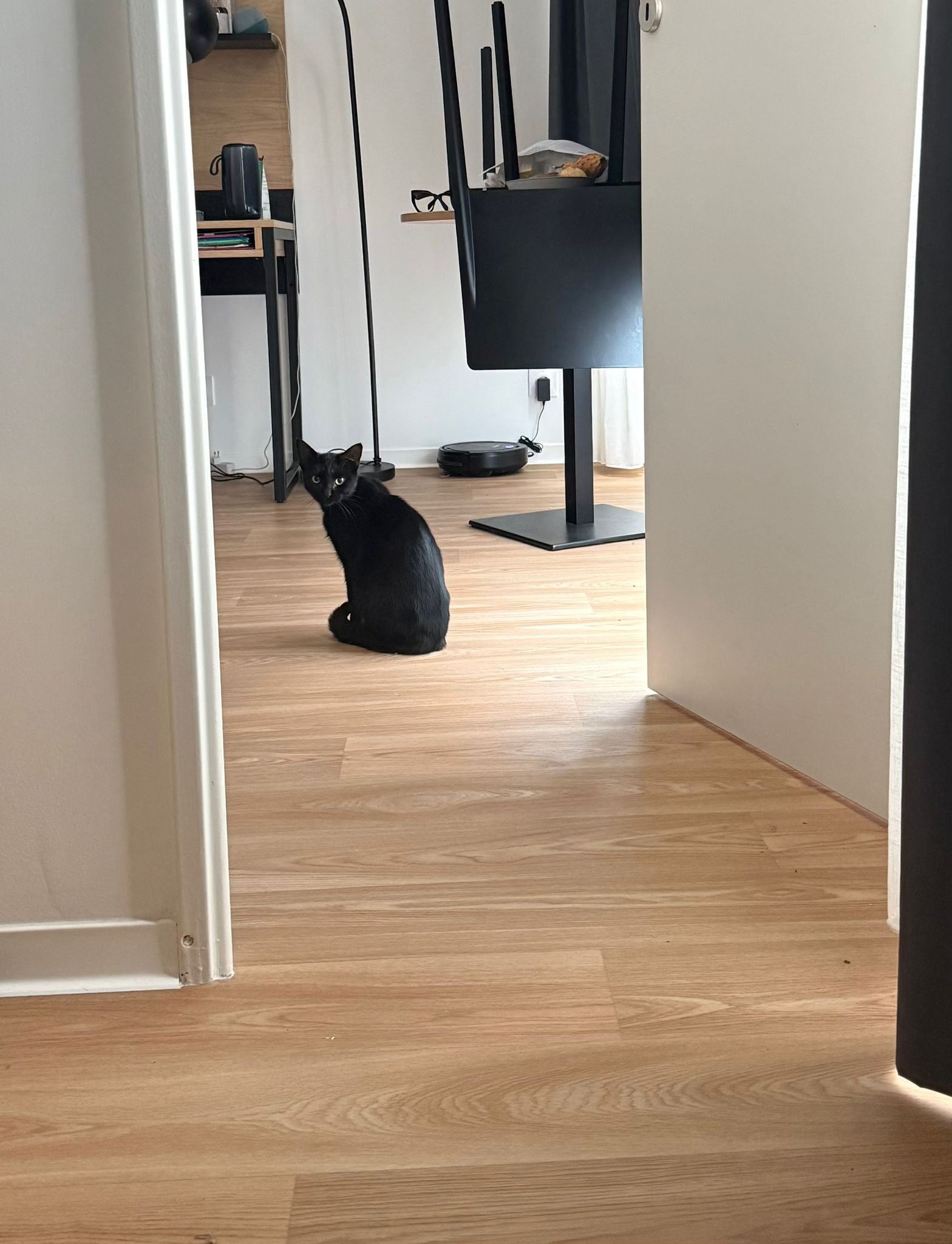 WhatsApp Image 2025-11-02 at 13.00.46 (1)