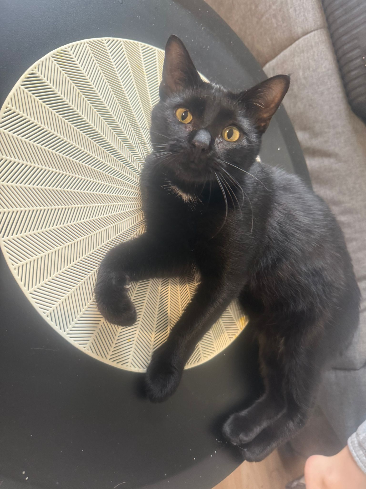 WhatsApp Image 2025-11-02 at 13.00.46 (4)