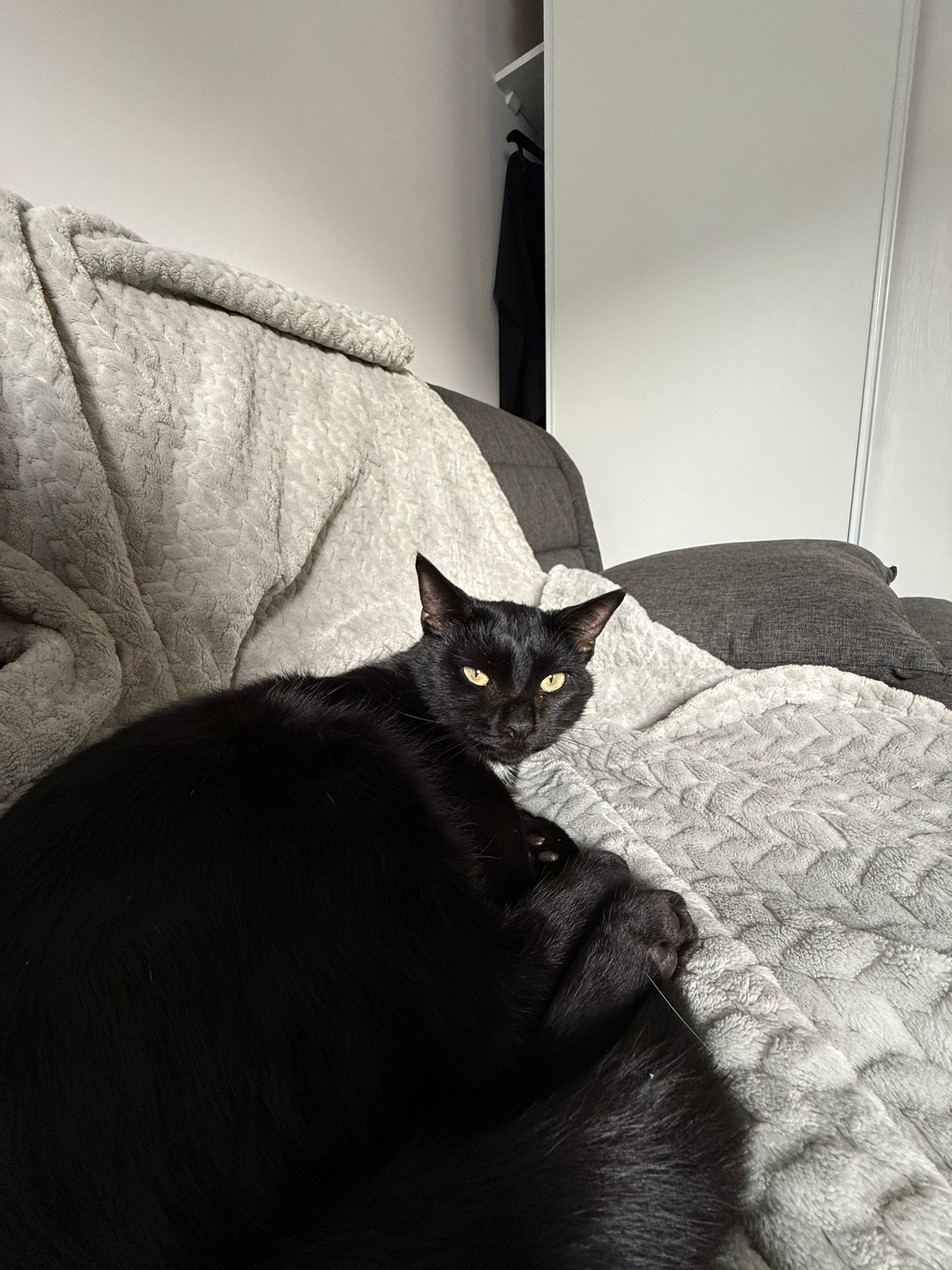 WhatsApp Image 2025-11-02 at 13.00.46 (5)