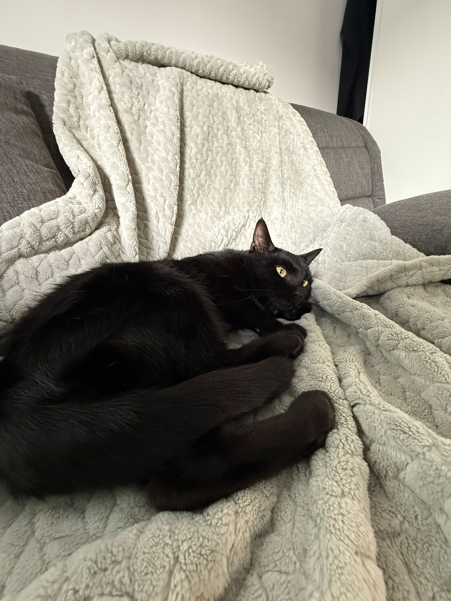 WhatsApp Image 2025-11-02 at 13.00.46 (6)