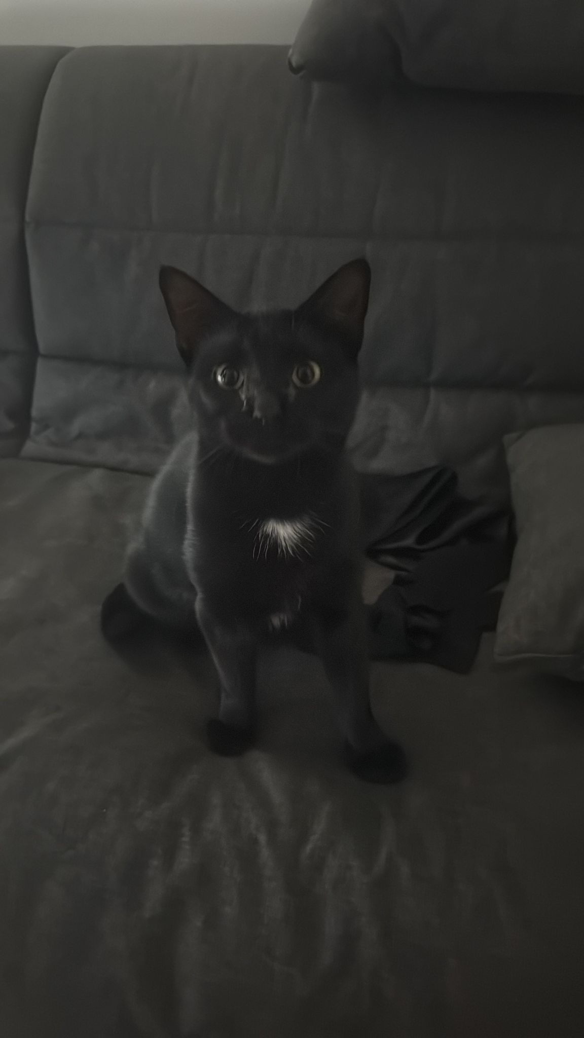 WhatsApp Image 2025-11-02 at 13.00.46 (7)