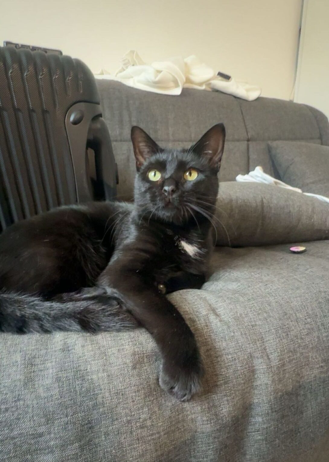 WhatsApp Image 2025-11-02 at 13.00.46 (8)