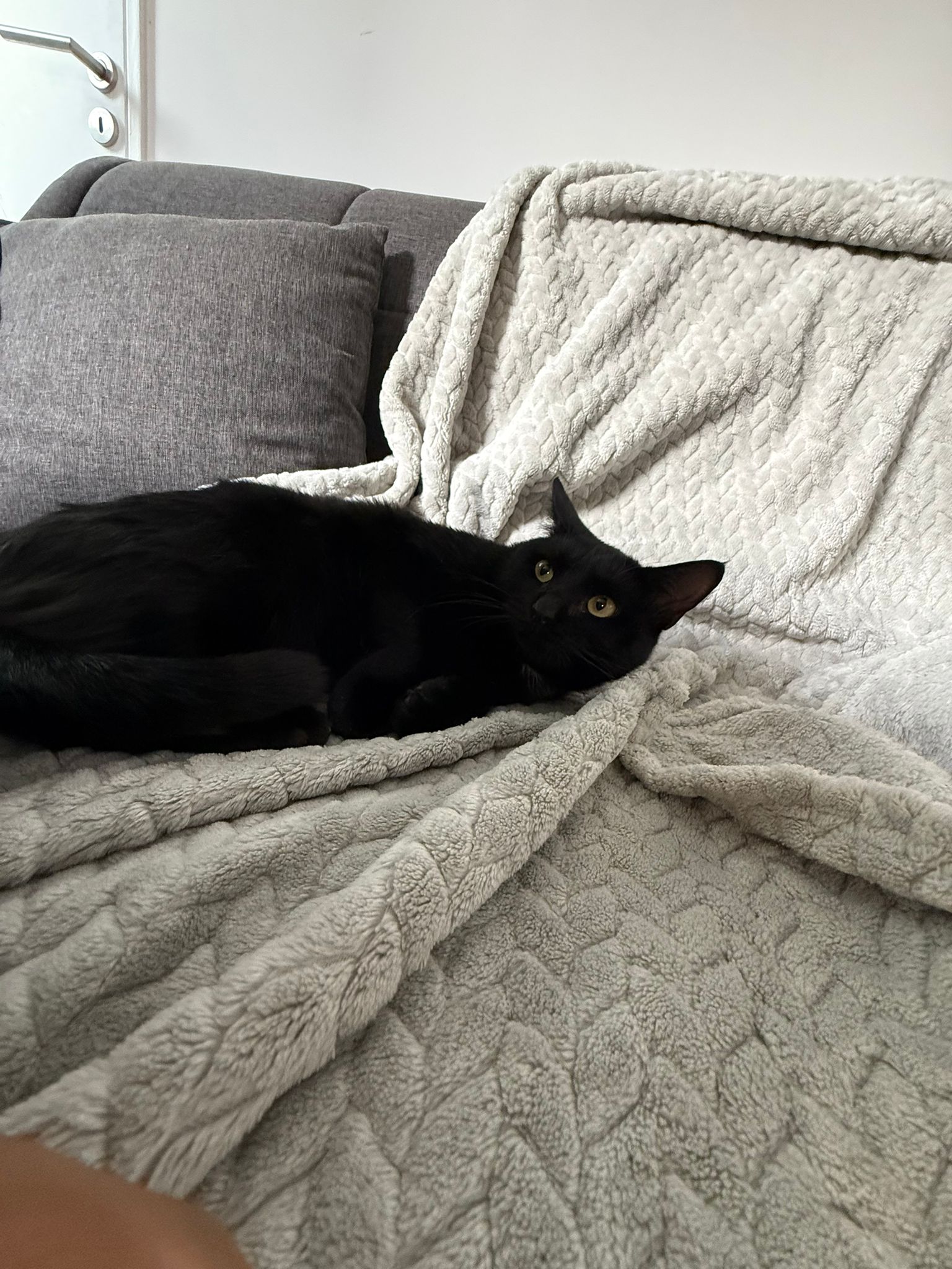 WhatsApp Image 2025-11-02 at 13.00.46