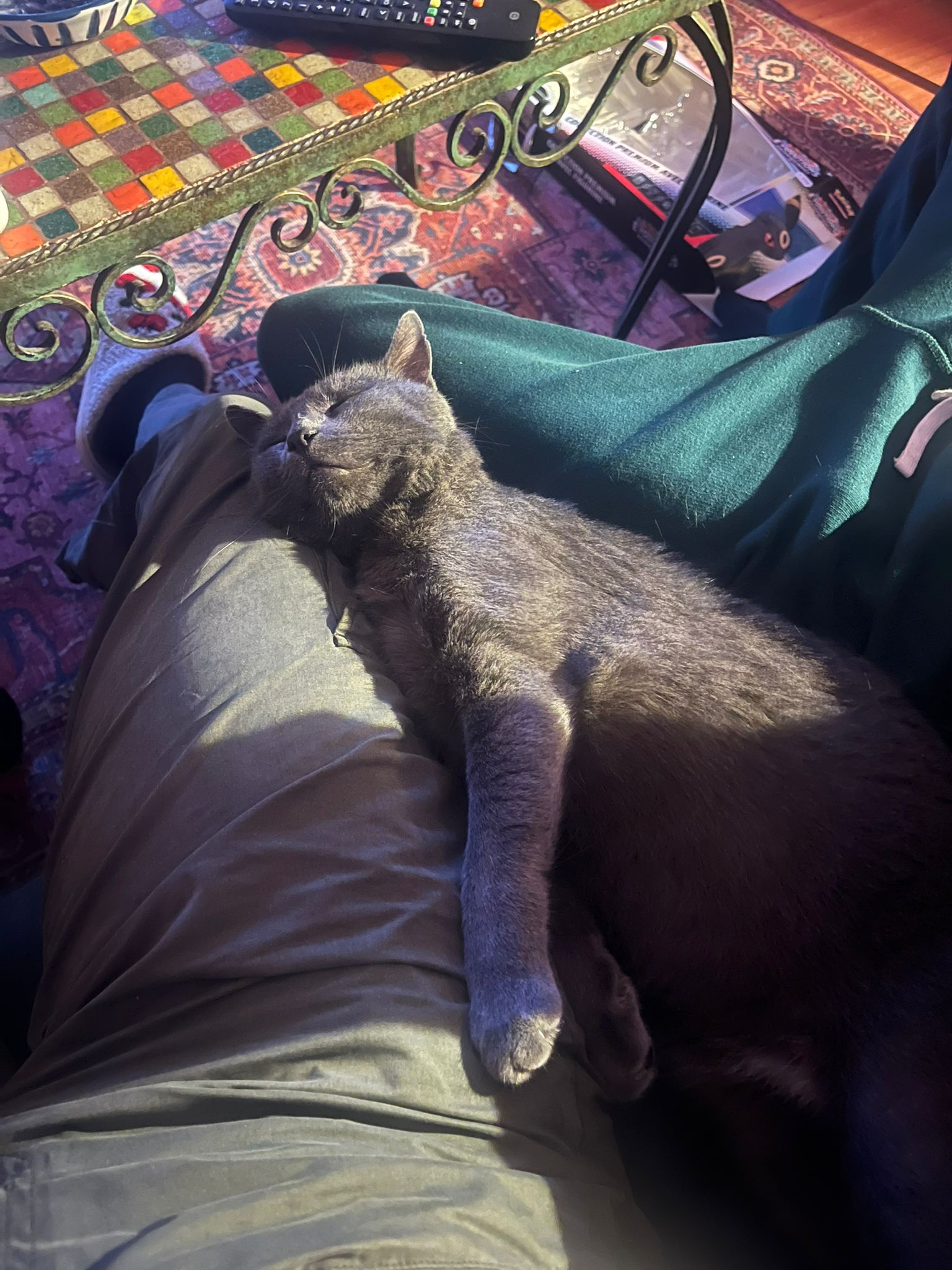 WhatsApp Image 2025-11-03 at 14.30.24