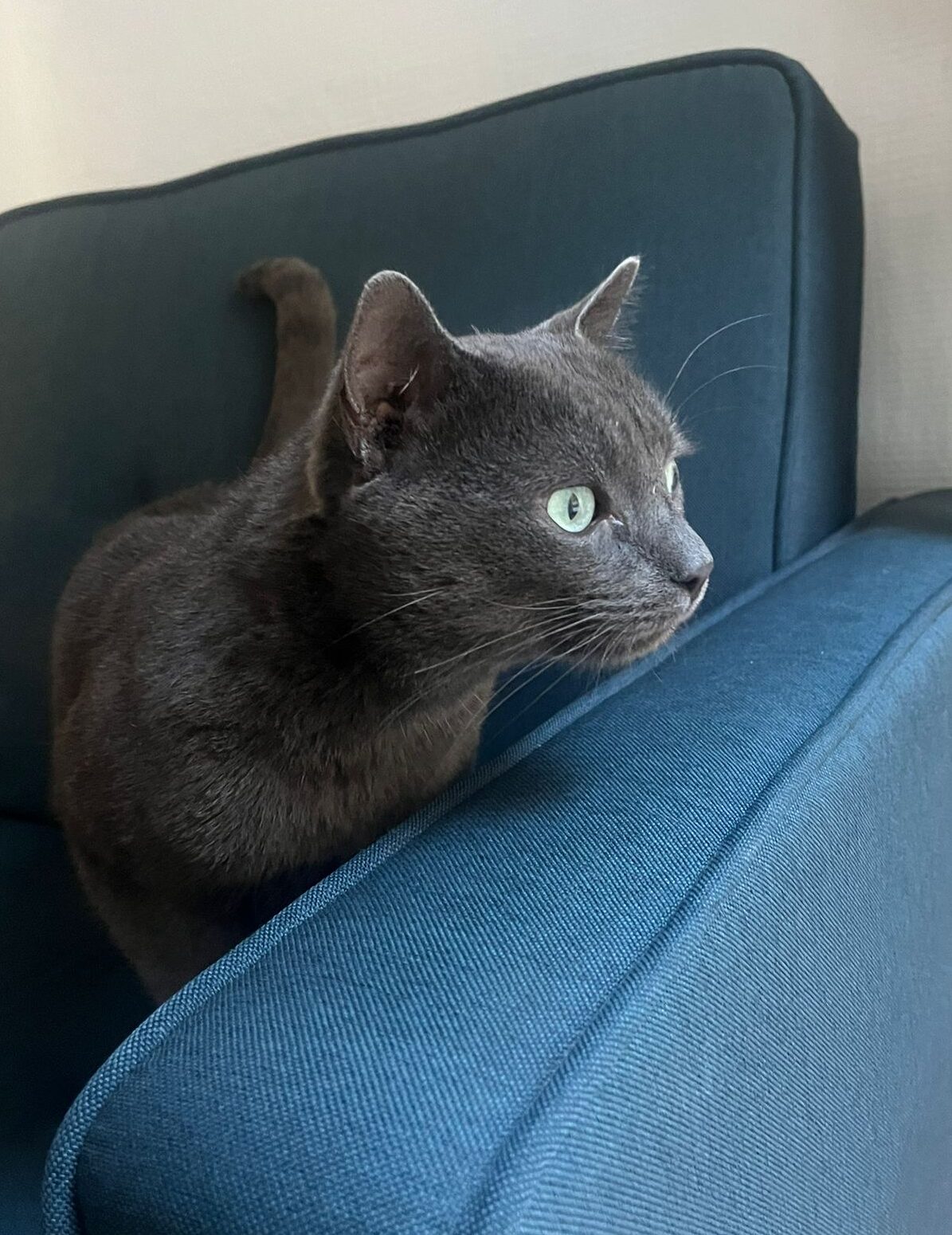 WhatsApp Image 2025-11-03 at 14.30.25 (1)