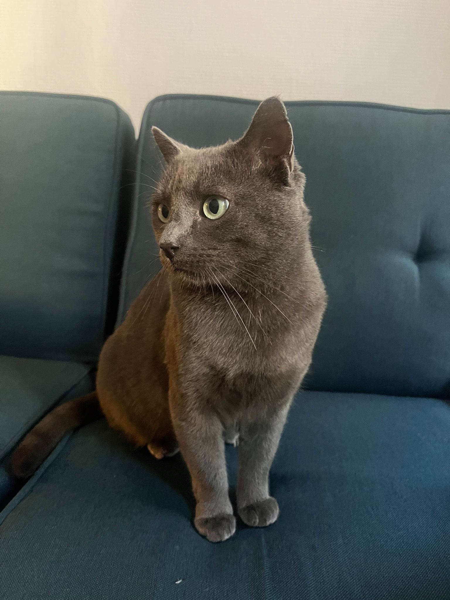 WhatsApp Image 2025-11-03 at 14.30.25 (2)