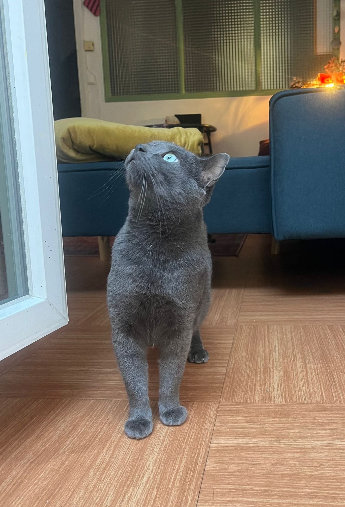 WhatsApp Image 2025-11-03 at 14.30.25