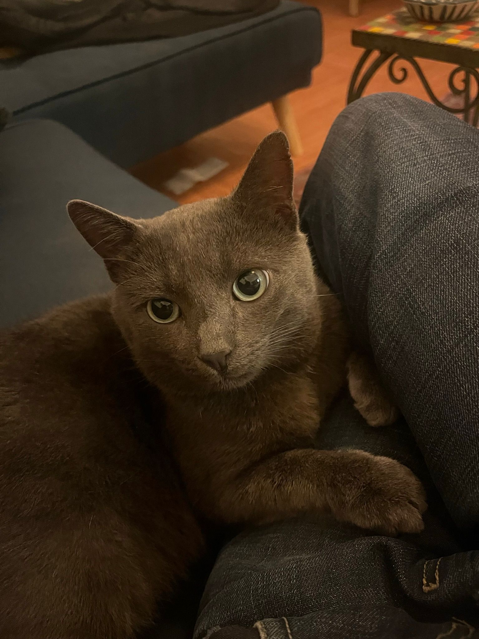 WhatsApp Image 2025-11-03 at 14.30.26