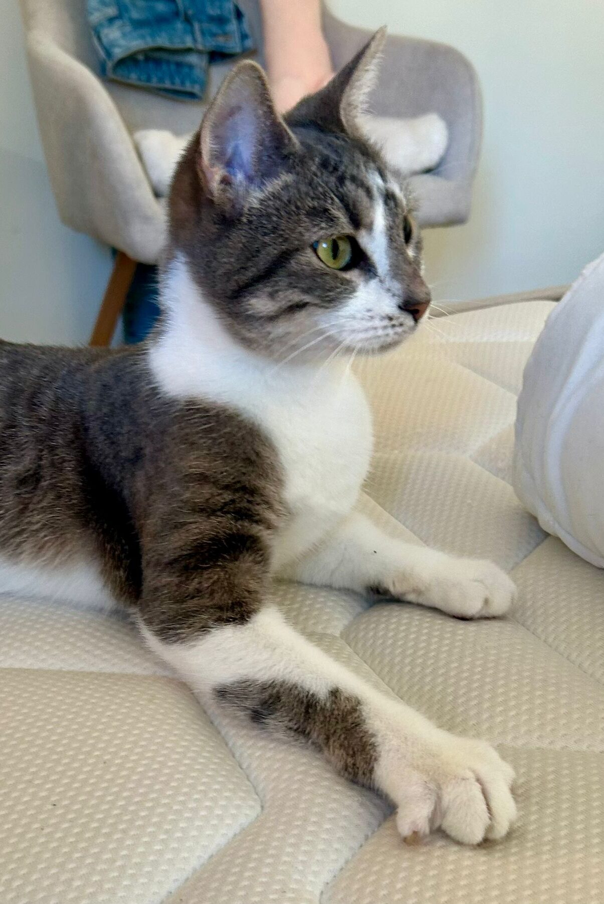 WhatsApp Image 2025-11-04 at 14.14.18 (1)