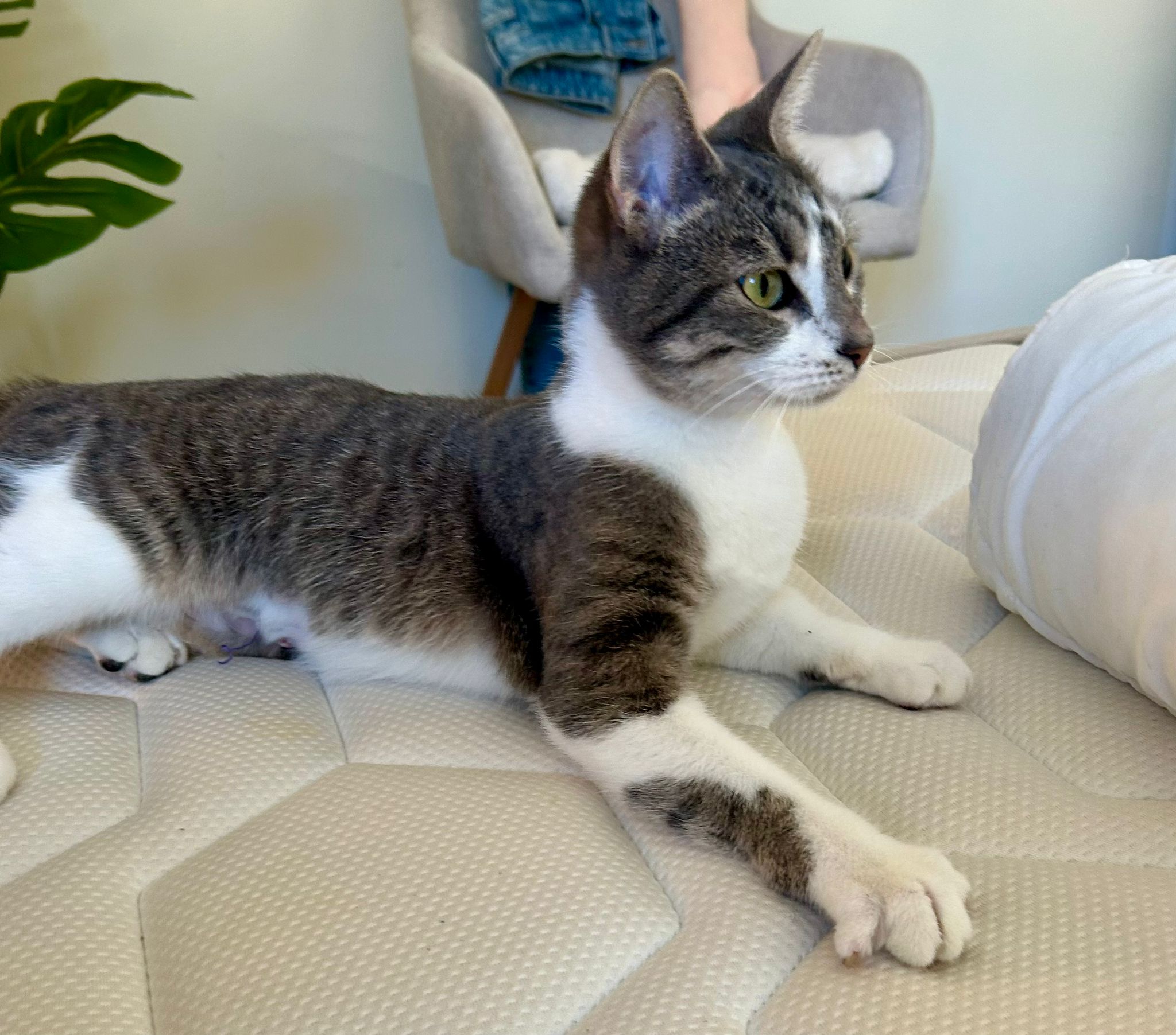 WhatsApp Image 2025-11-04 at 14.14.18 (1)