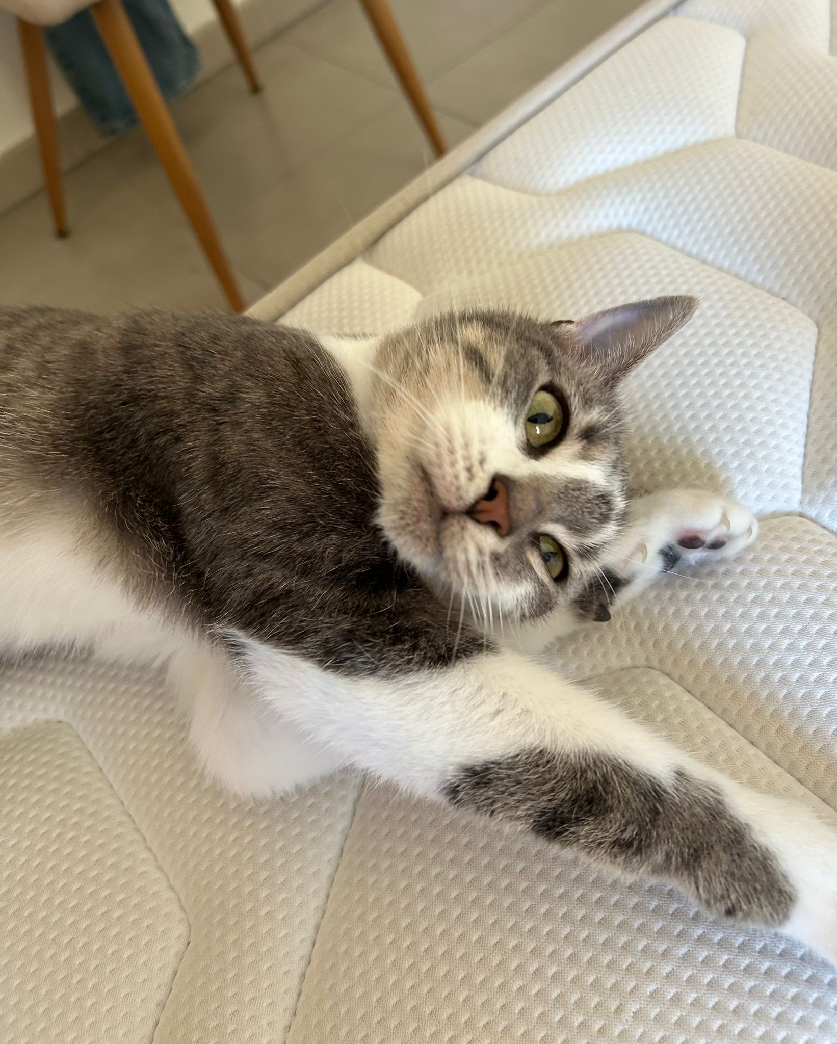 WhatsApp Image 2025-11-04 at 14.14.18 (2)