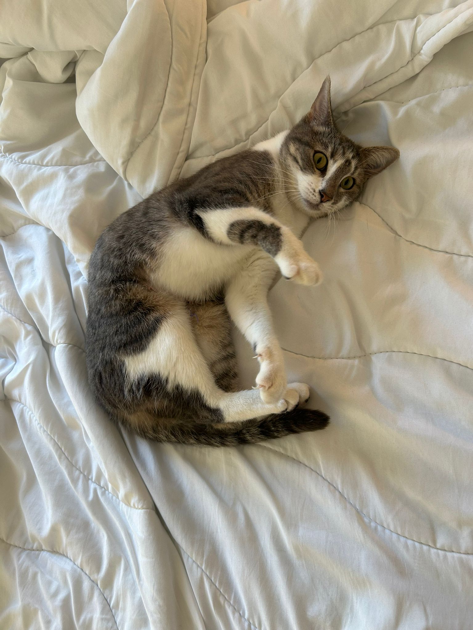 WhatsApp Image 2025-11-04 at 14.14.19 (2)