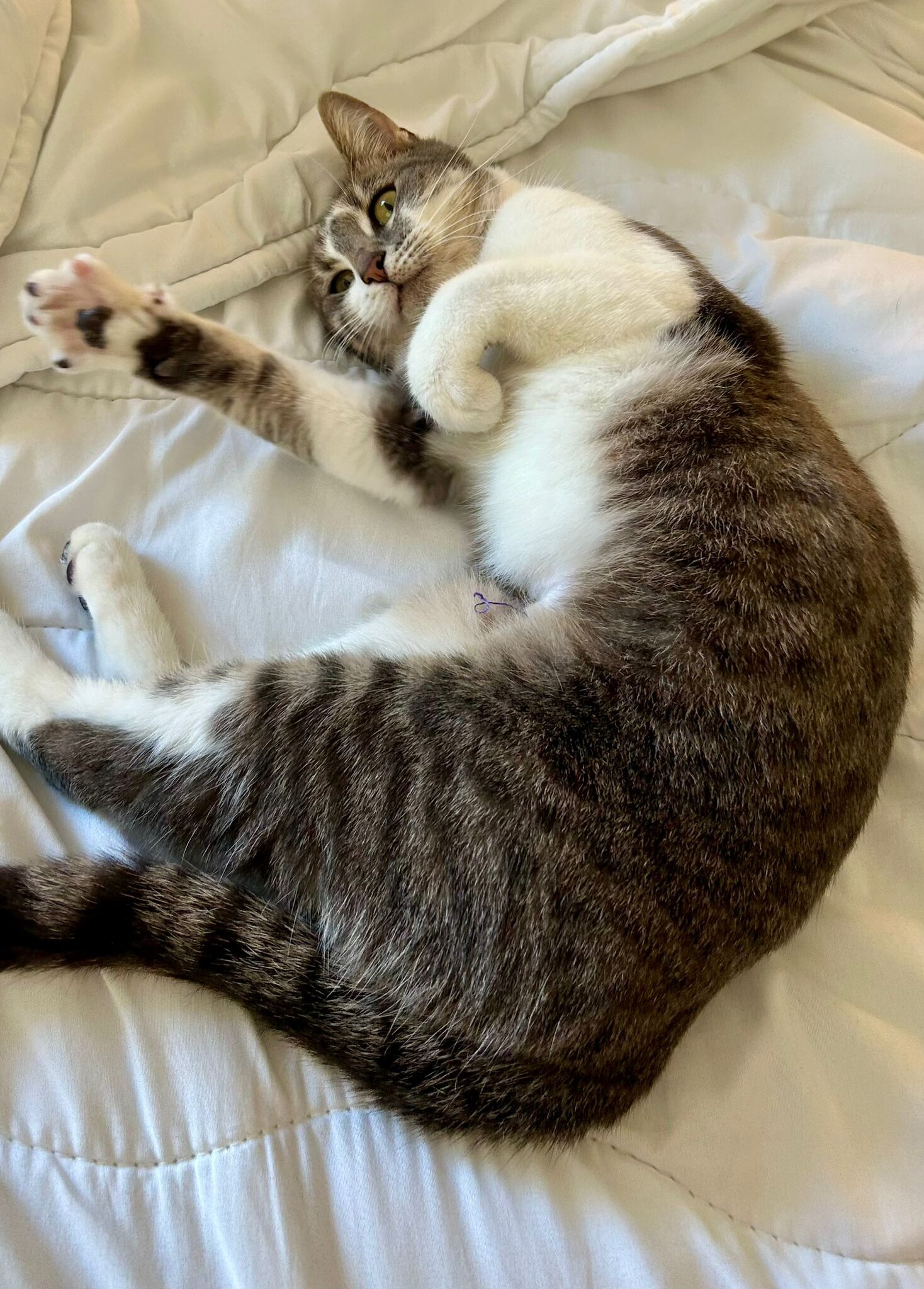 WhatsApp Image 2025-11-04 at 14.14.19 (3)