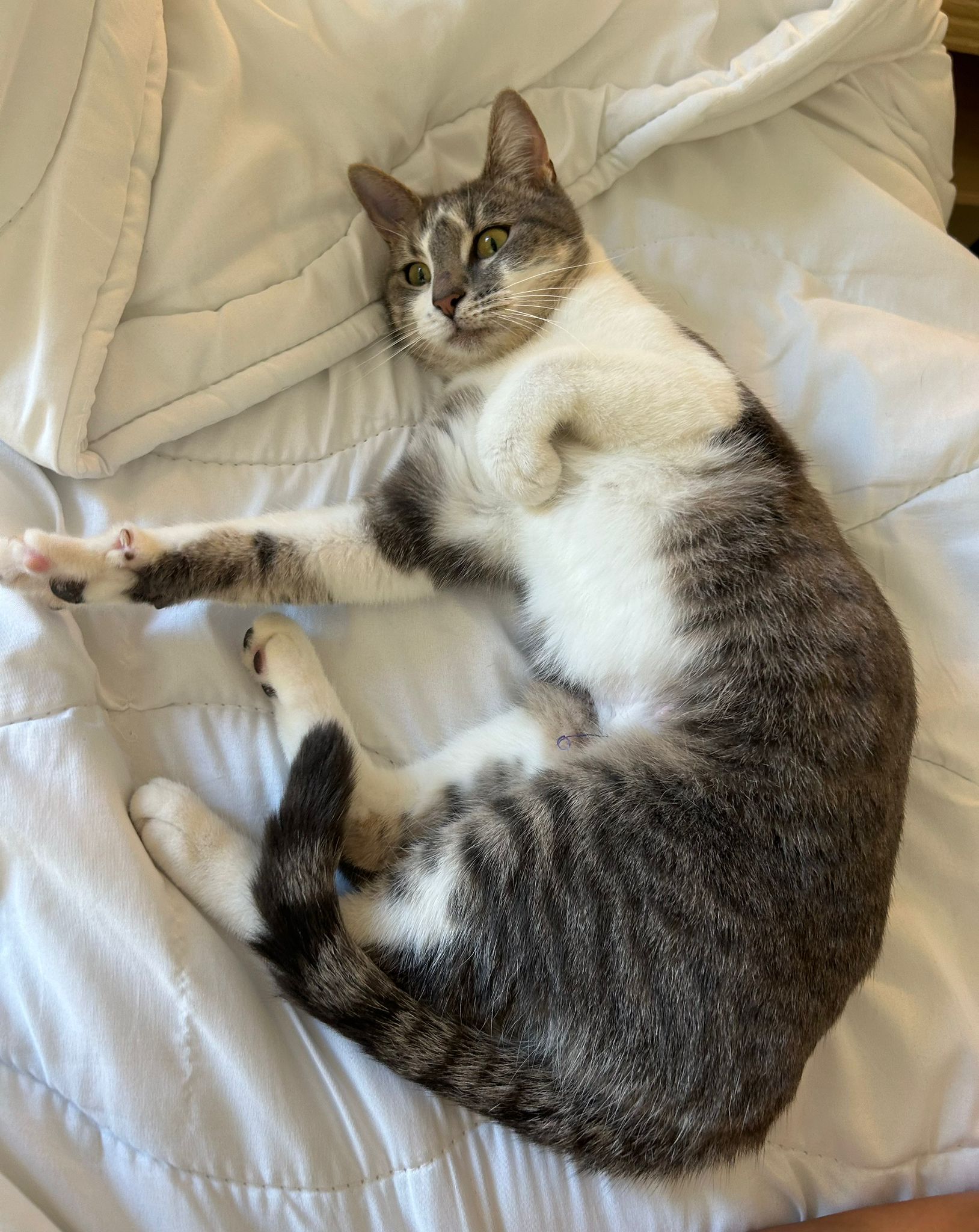 WhatsApp Image 2025-11-04 at 14.14.19