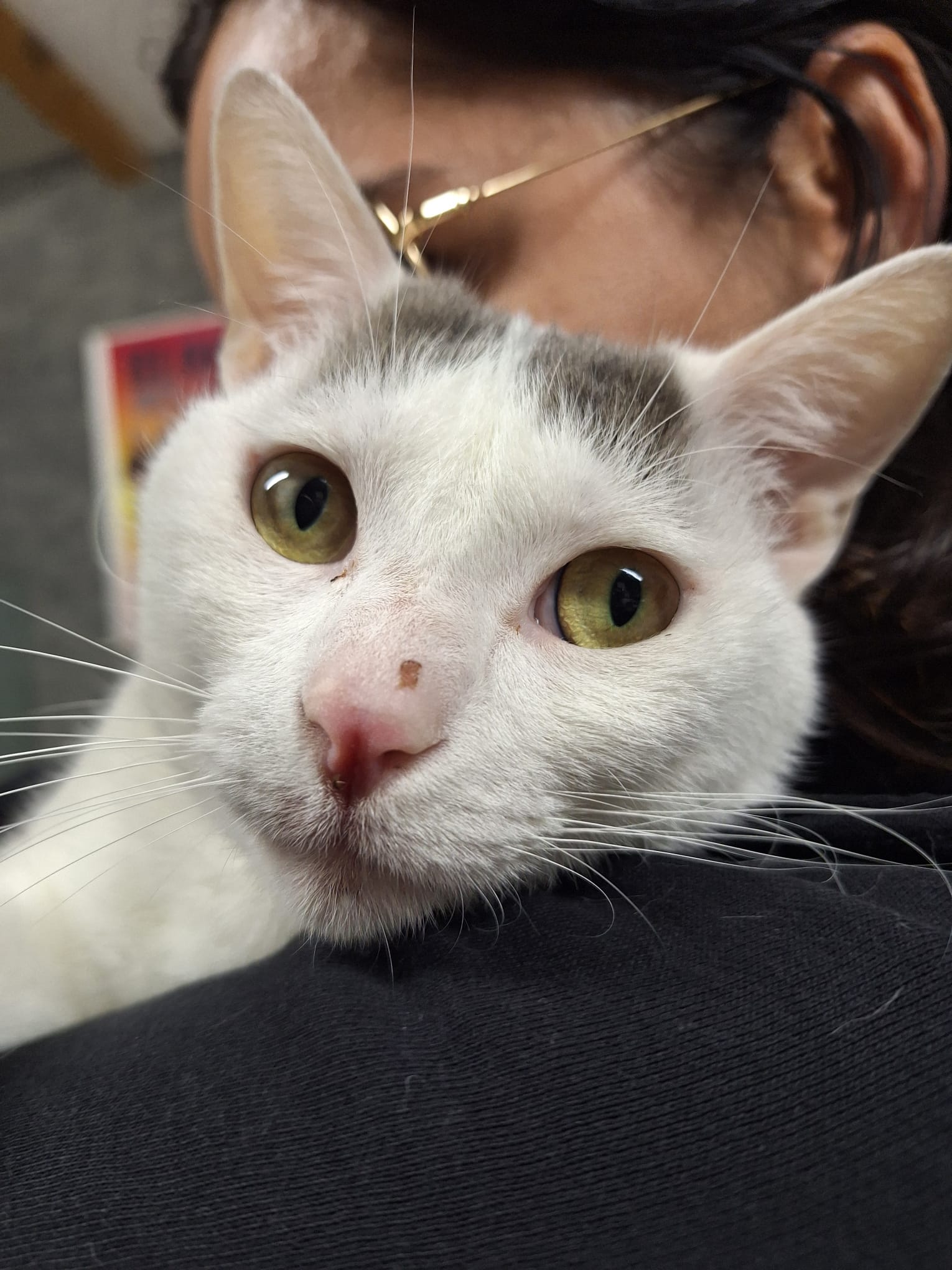 WhatsApp Image 2025-11-04 at 21.37.16 (1)